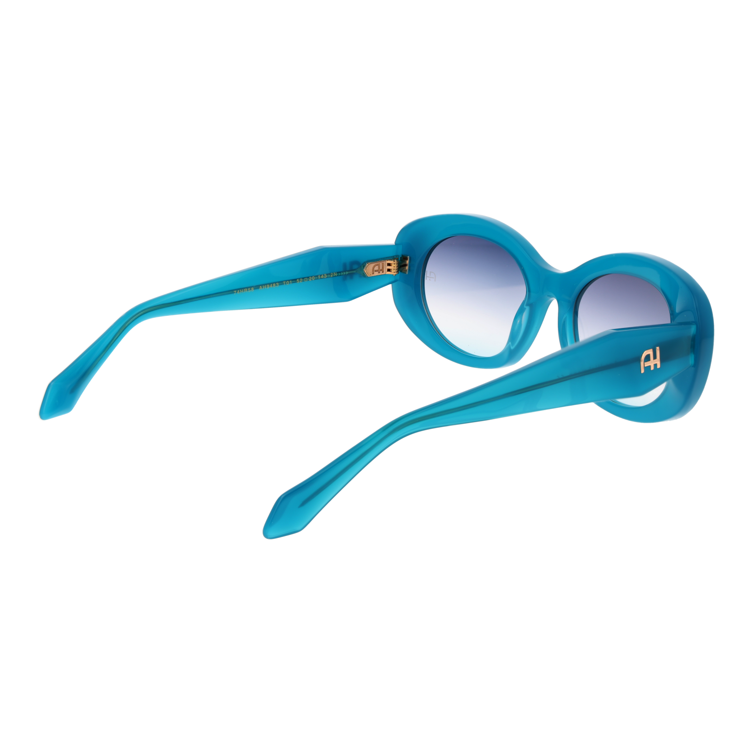 Ana Hickmann AH9483 52T01 rear view – Acetate frame