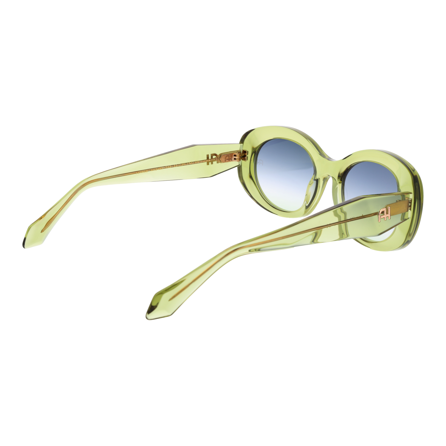 Ana Hickmann AH9483 52T02 rear view – Acetate frame