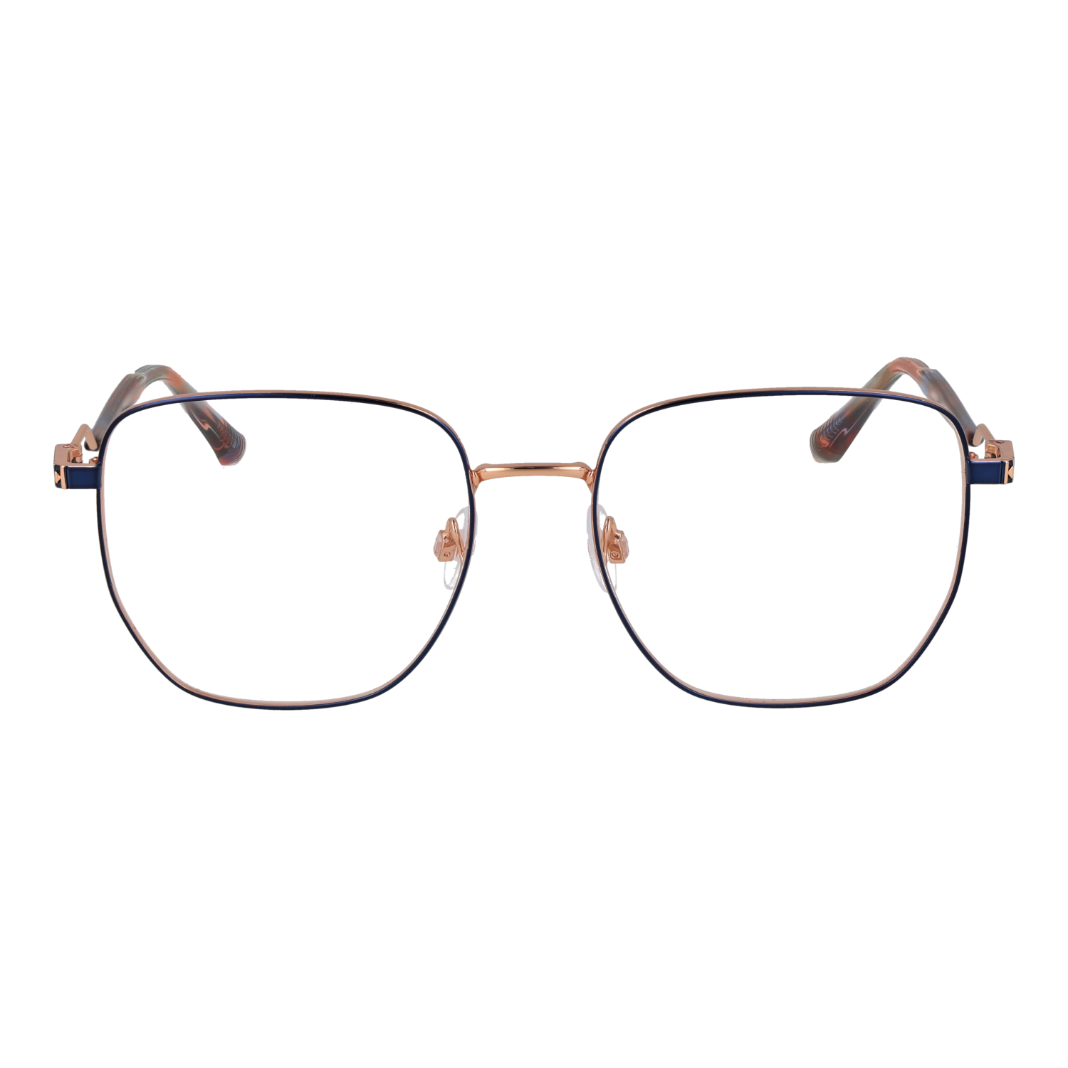 Ana Hickmann HI1239T 5306A front view – Titanium frame