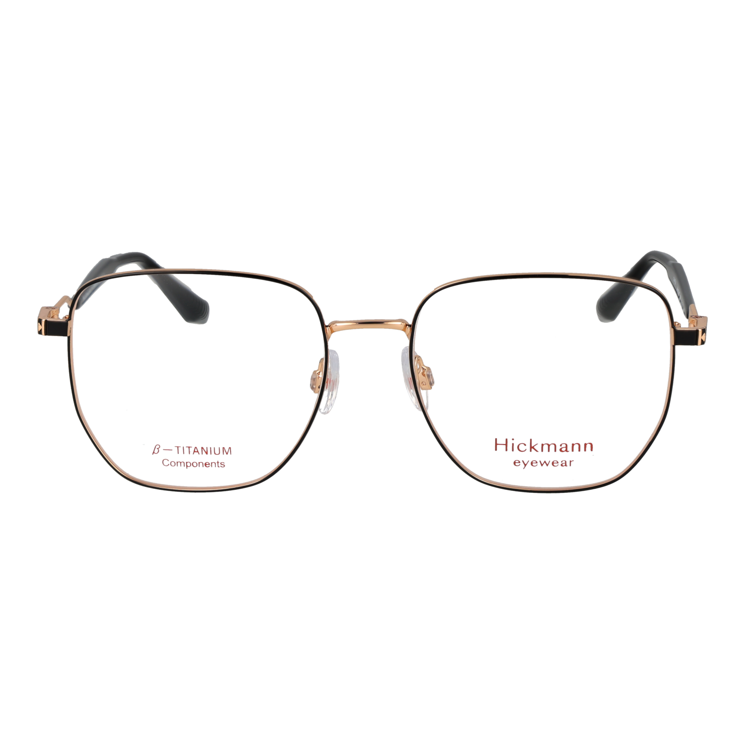 Ana Hickmann HI1239T 5309A front view – Titanium frame