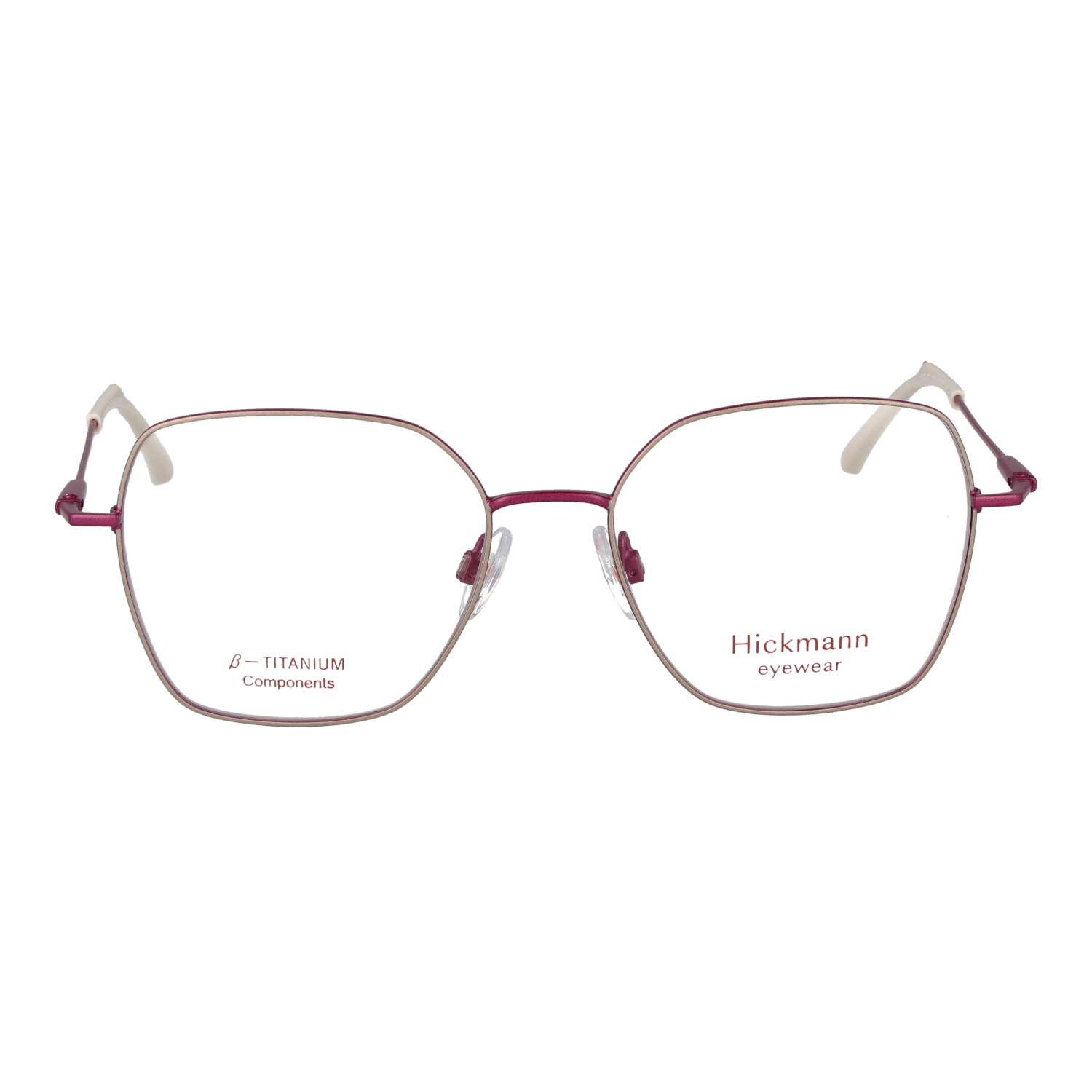 Ana Hickmann HI1242T 5307A front view – Titanium frame
