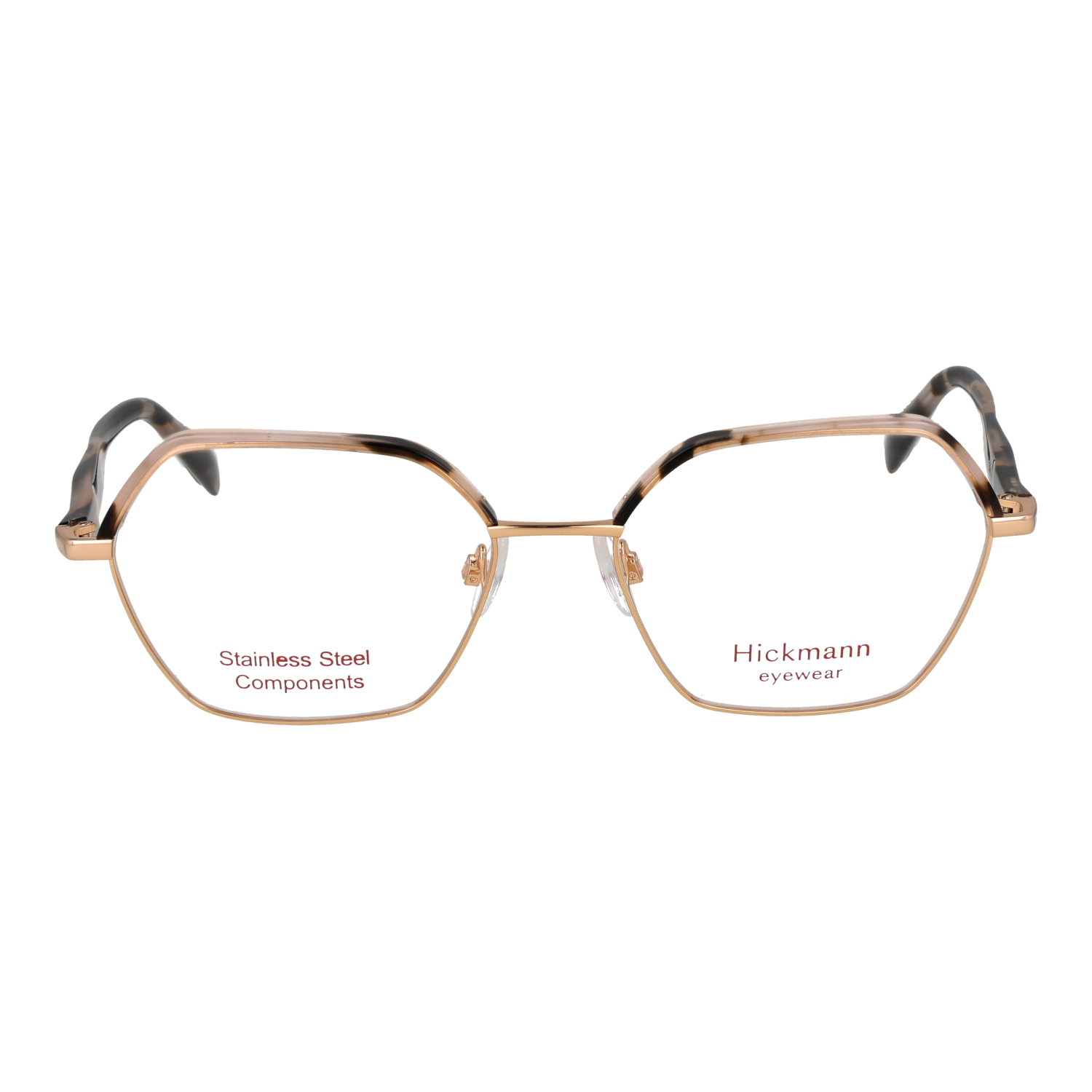 Ana Hickmann HI1245 55G21 front view – Metal frame