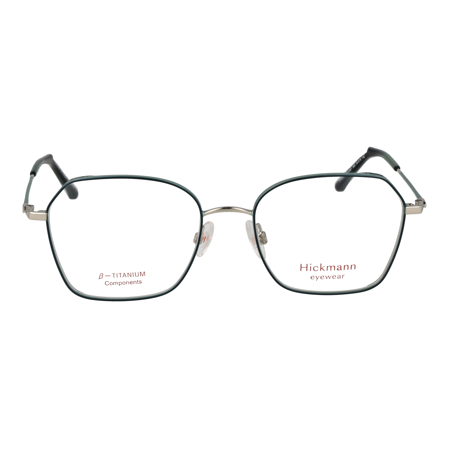Ana Hickmann HI1246T 5406A front view – Titanium frame