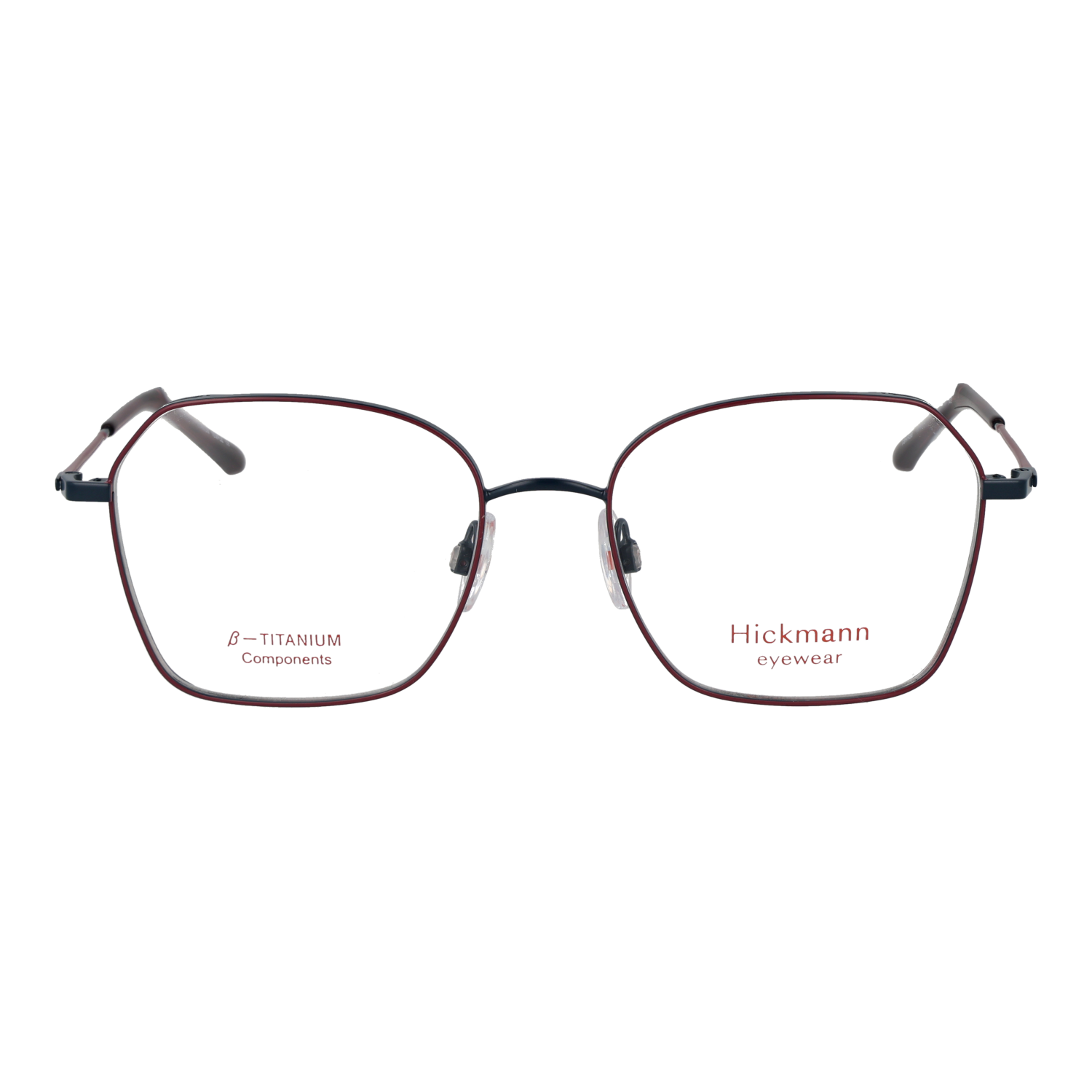 Ana Hickmann HI1246T 5407A front view – Titanium frame