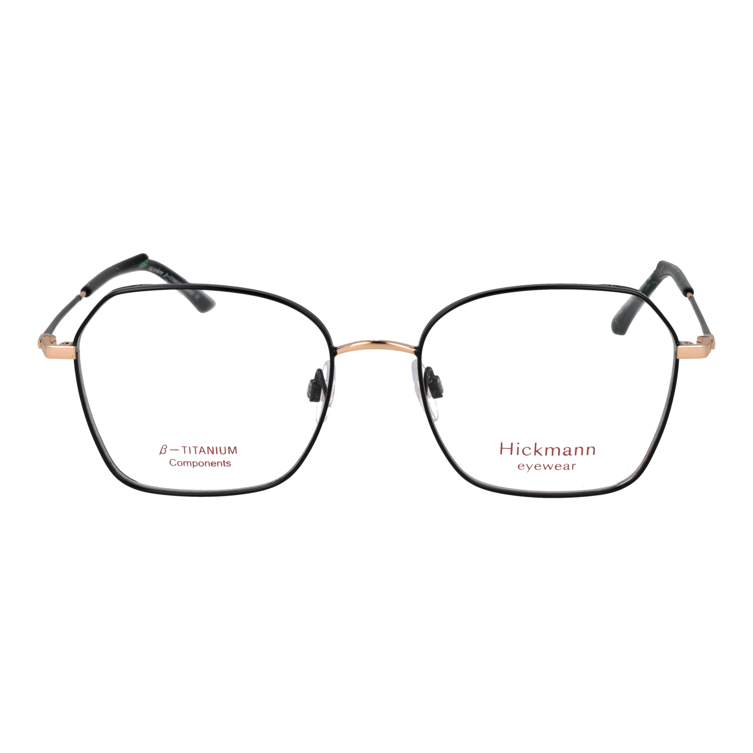 Ana Hickmann HI1246T 5409A front view – Titanium frame