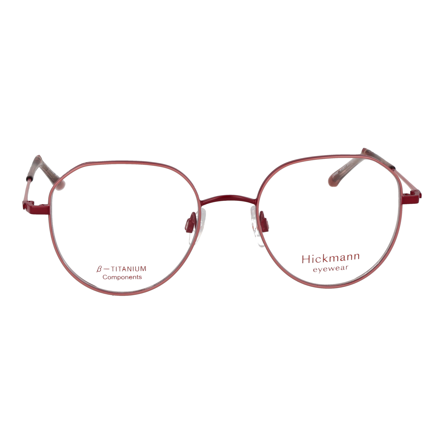 Ana Hickmann HI1247T 5007A front view – Titanium frame
