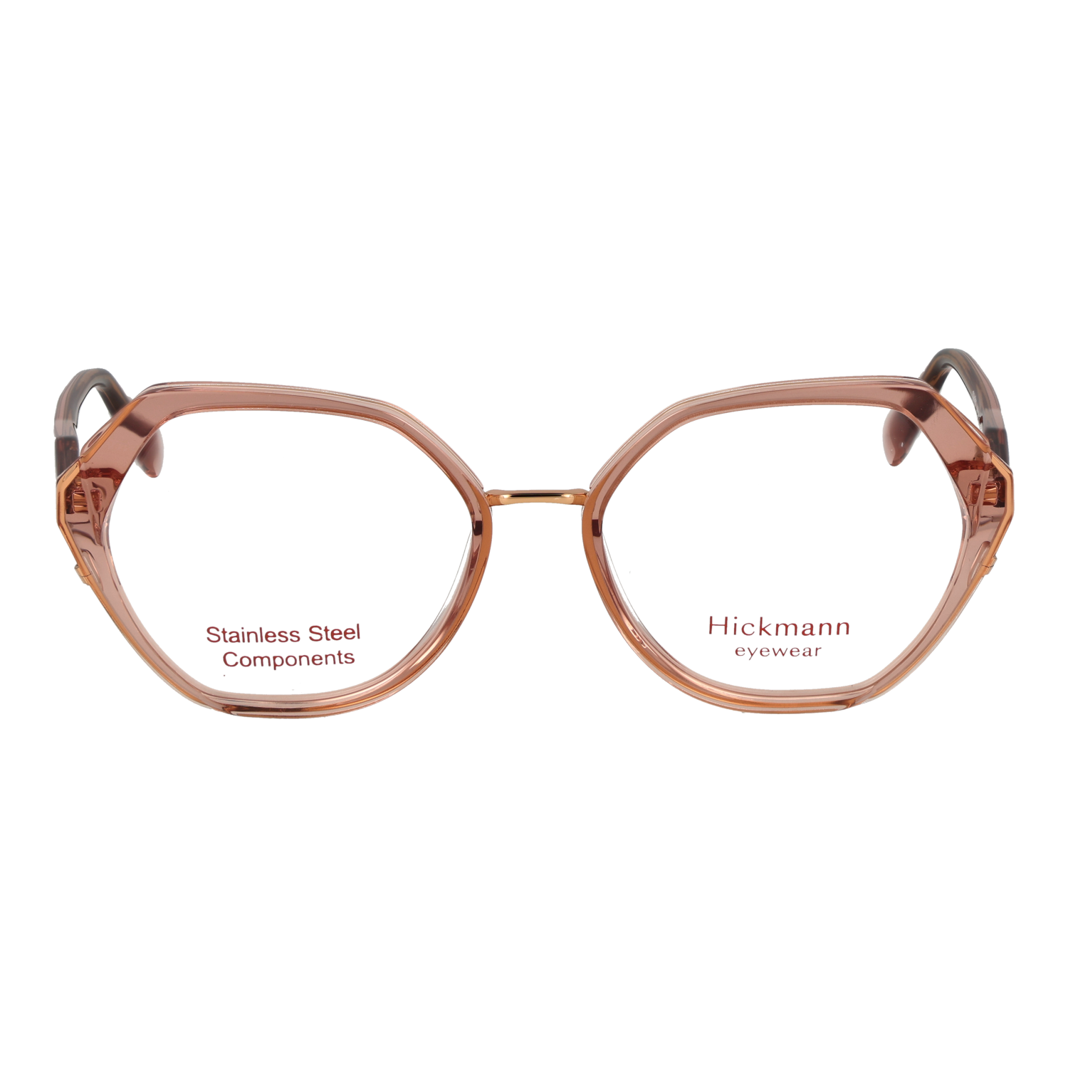 Ana Hickmann HI1248 53T01 front view – Titanium frame