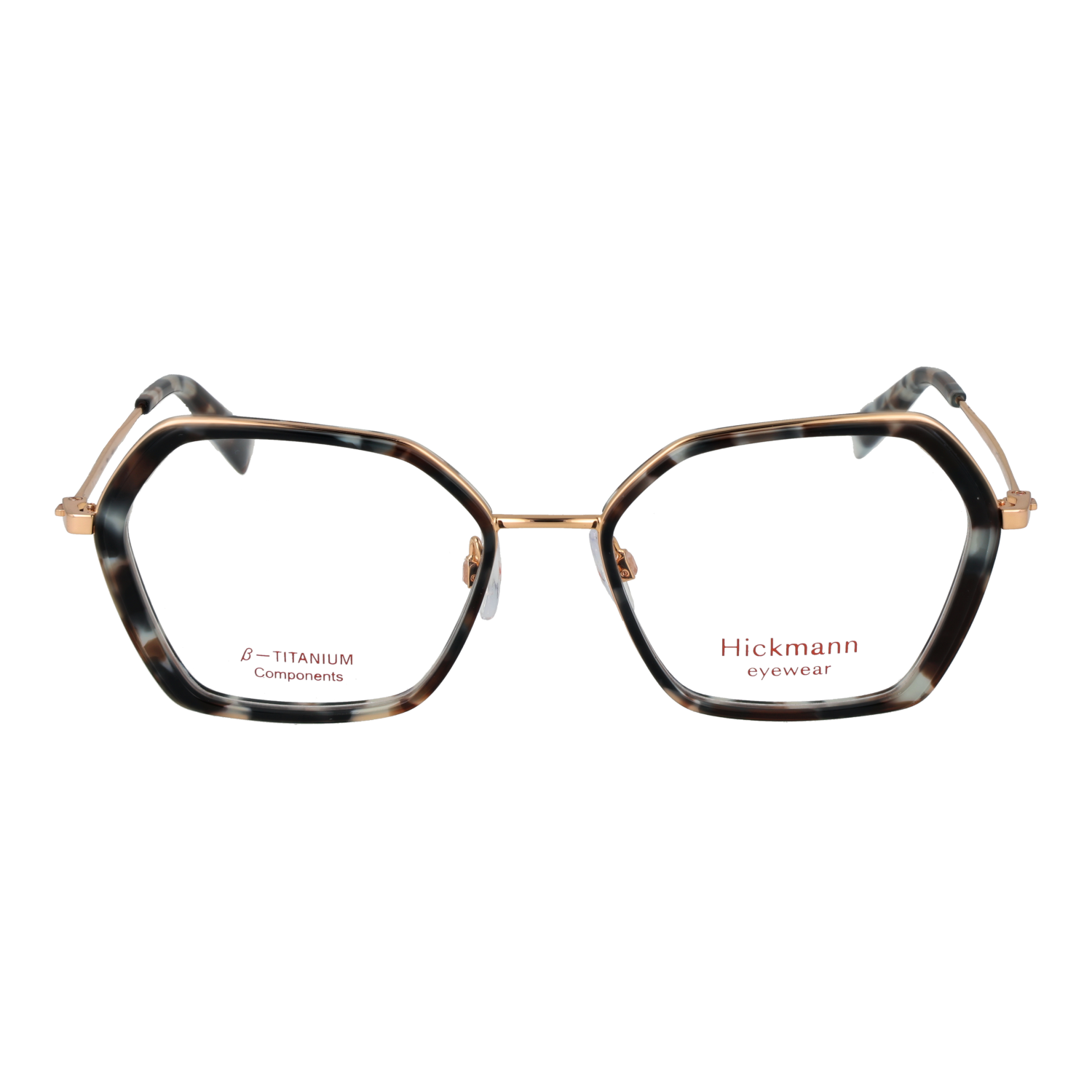 Ana Hickmann HI1249T 54G21 front view – Titanium frame
