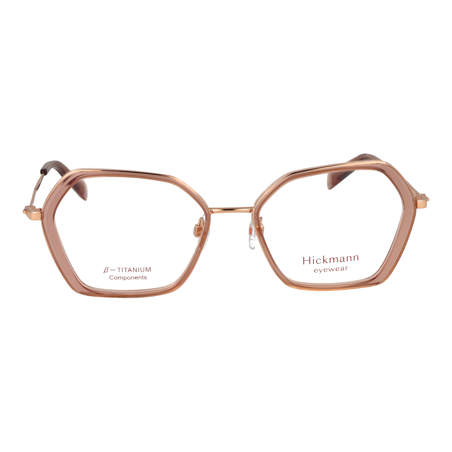 Ana Hickmann HI1249T 54T01 front view – Titanium frame