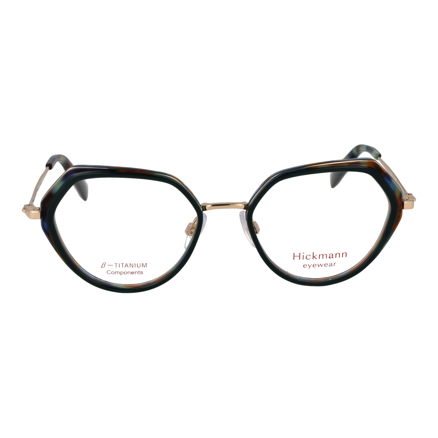 Ana Hickmann HI1250T 53H02 front view – Titanium frame