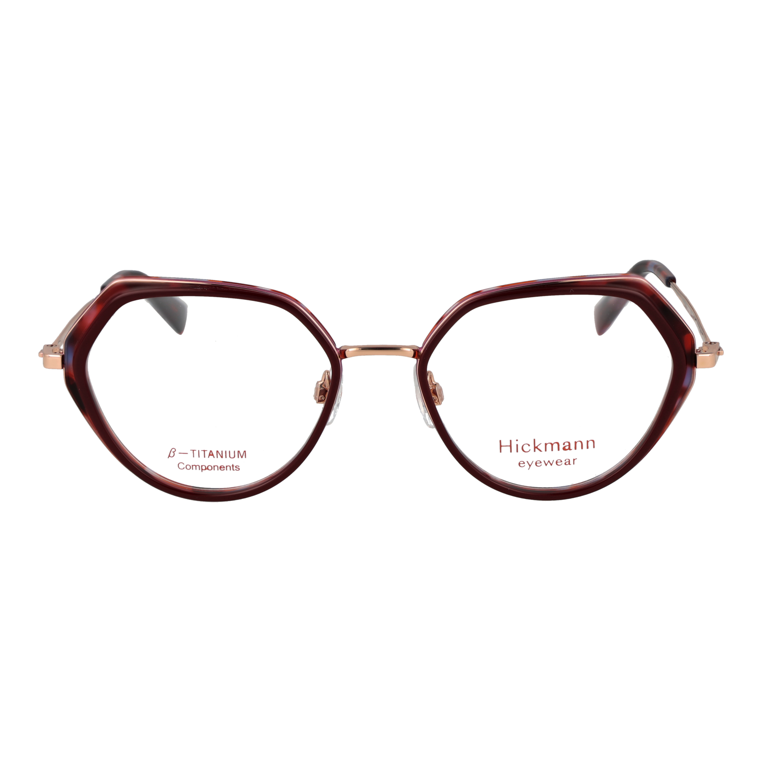 Ana Hickmann HI1250T 53H03 front view – Titanium frame