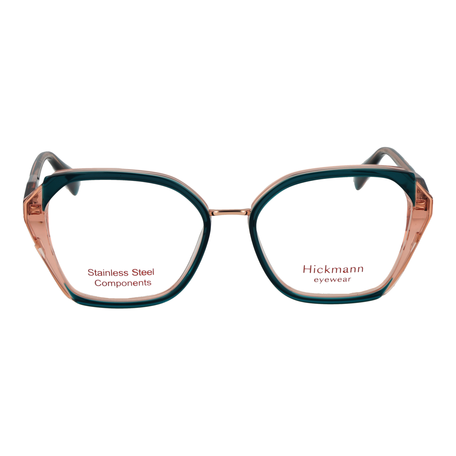 Ana Hickmann HI1251 53H03 front view – Metal & Plastic frame