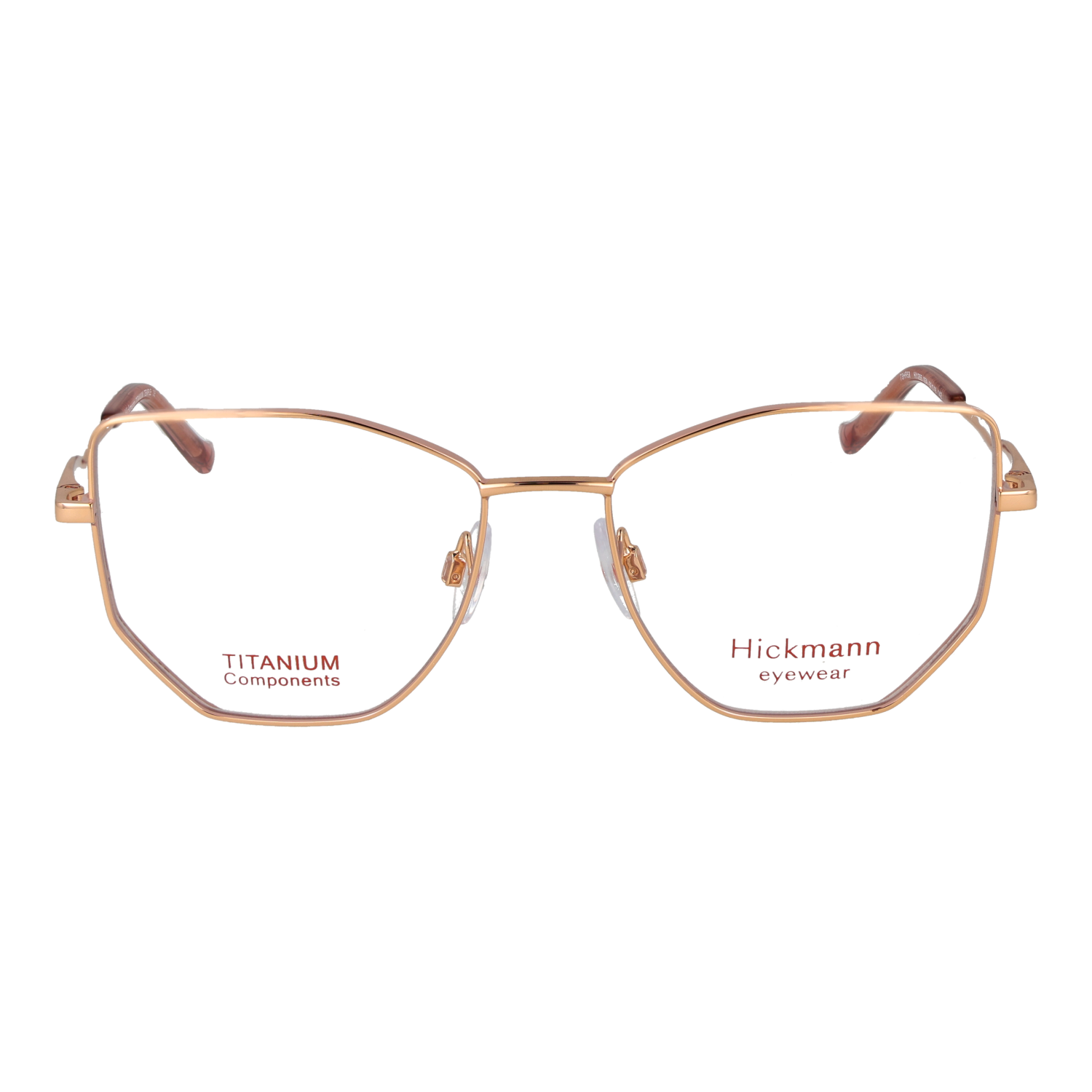 Ana Hickmann HI1255 5205A front view – Metal frame