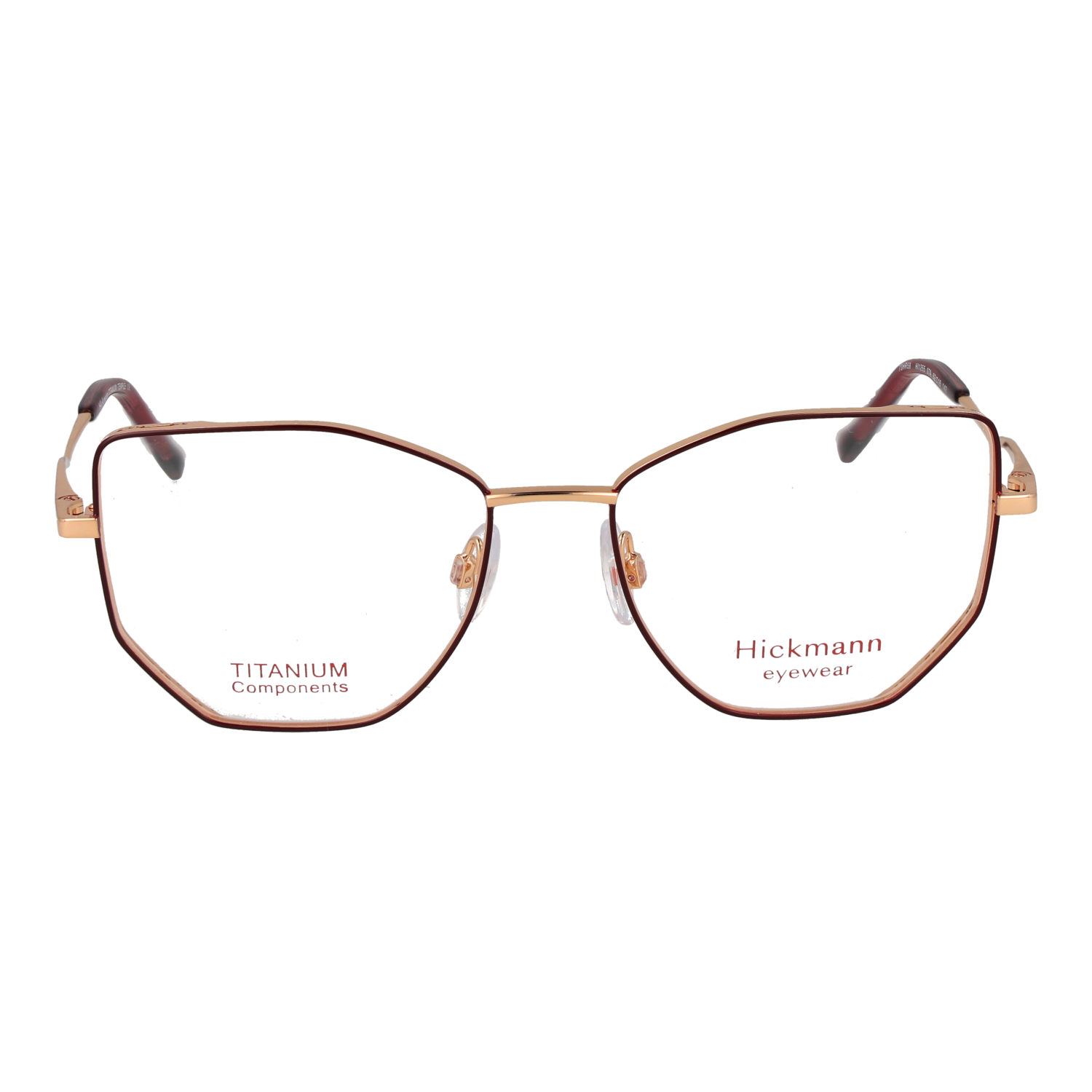 Ana Hickmann HI1255 5207A front view – Titanium frame