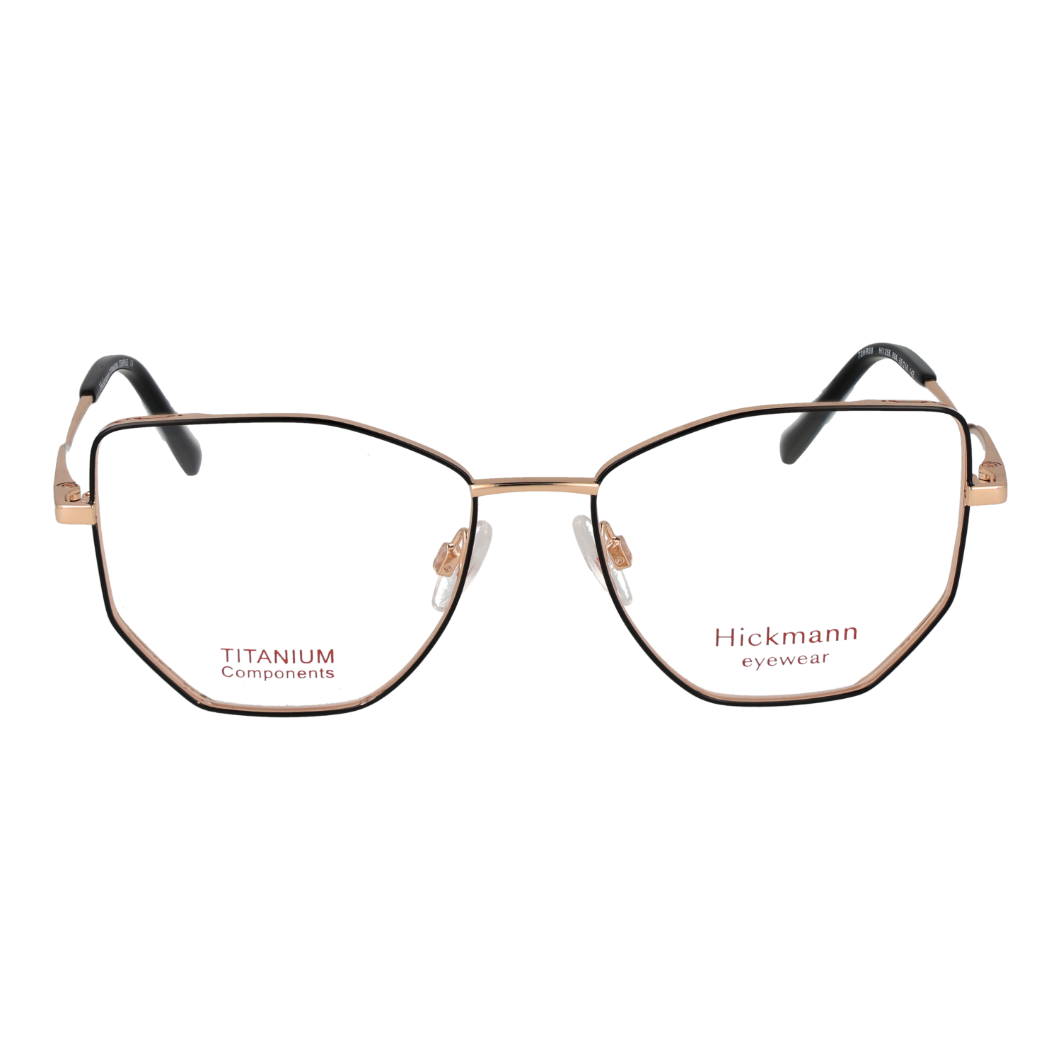 Ana Hickmann HI1255 5209A front view – Titanium frame