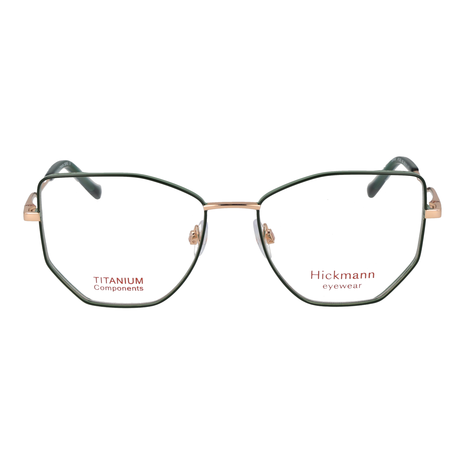 Ana Hickmann HI1255 5212A front view – Titanium frame