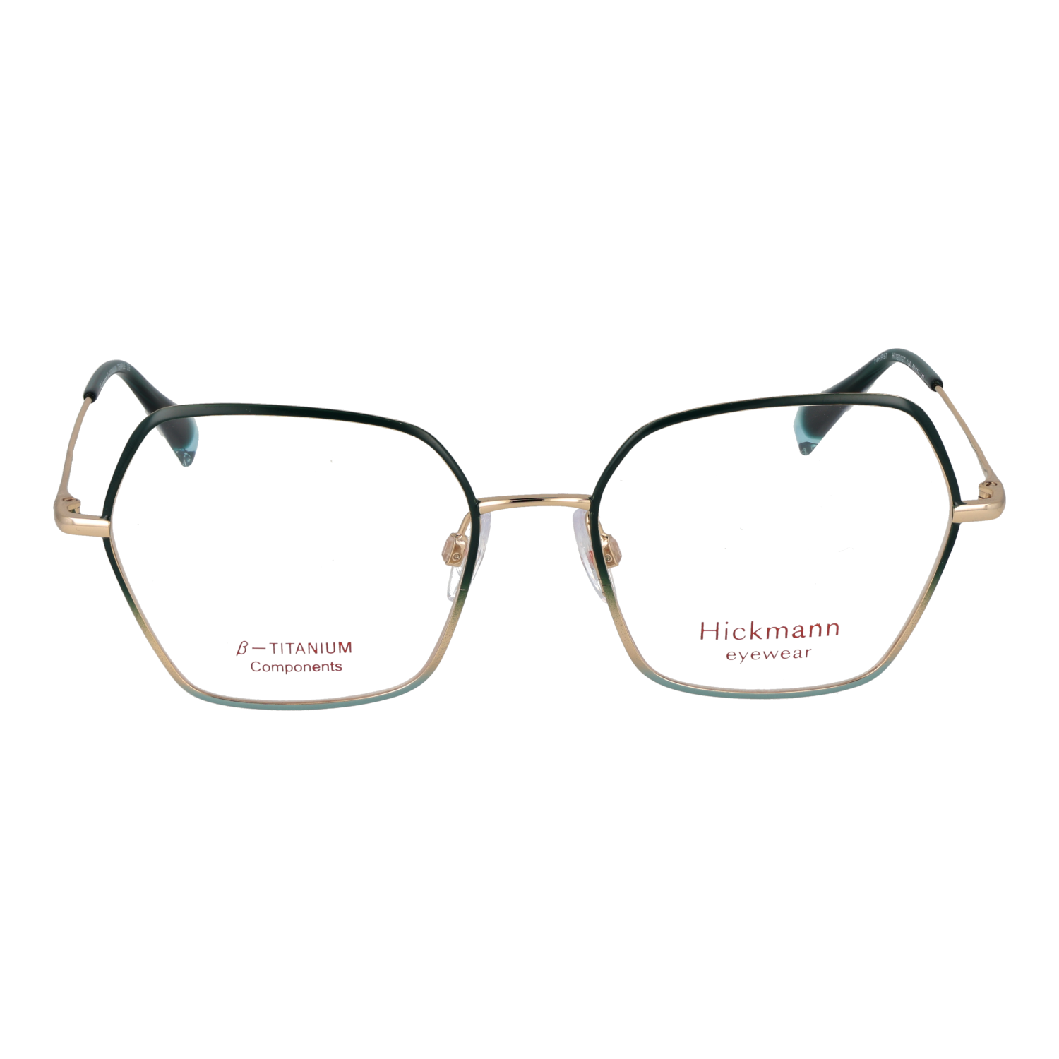 Ana Hickmann HI1261GT 5212A front view – Titanium frame