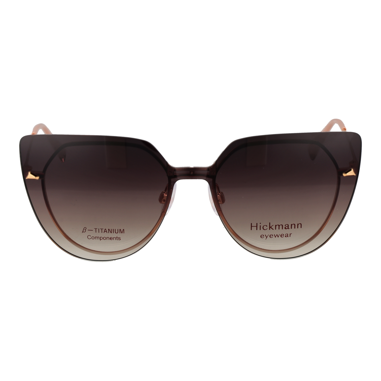 Ana Hickmann HI1262GT 4901A & HI1262GT 4901AG front view – Titanium frame