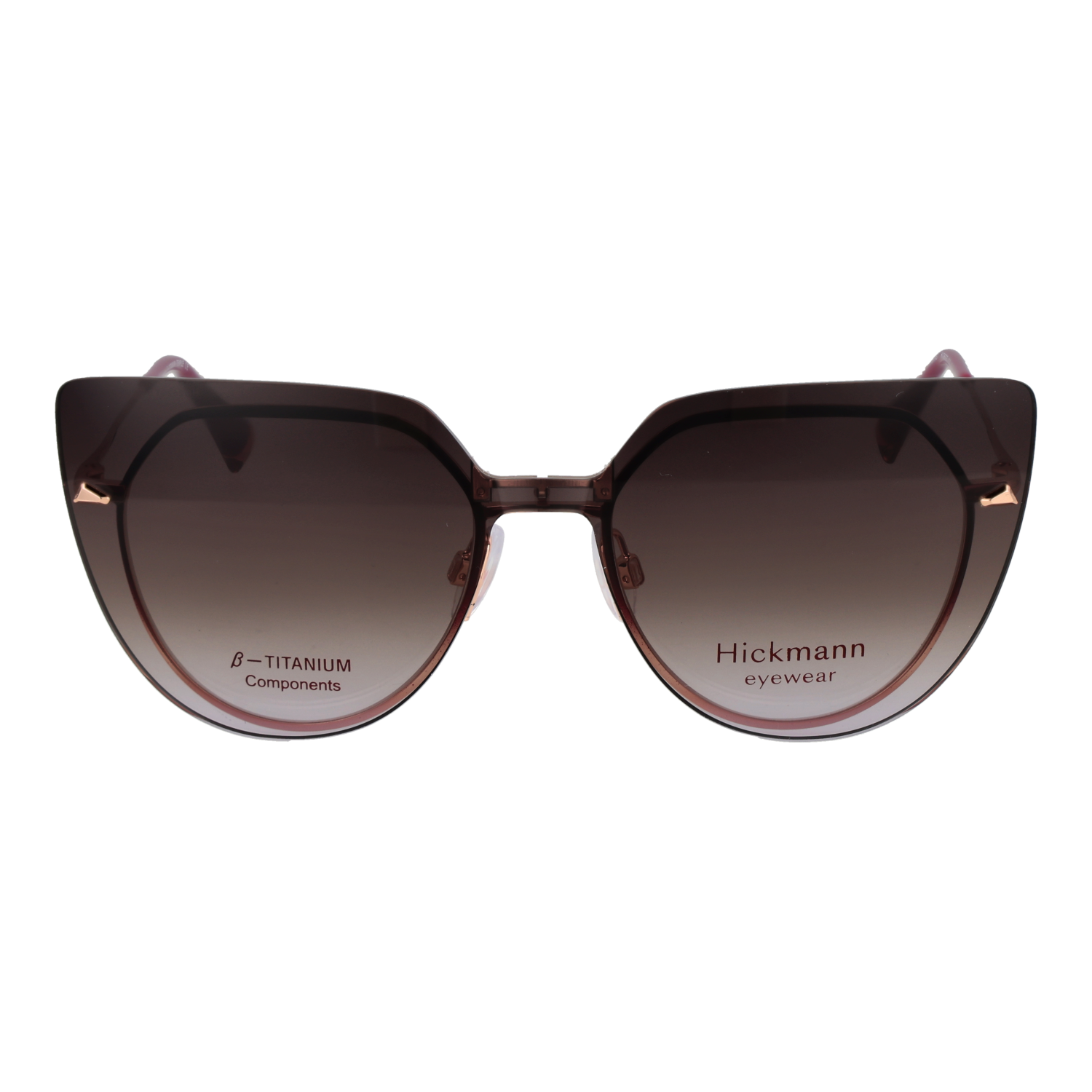 Ana Hickmann HI1262GT 4907A & HI1262GT 4907AG front view – Titanium frame