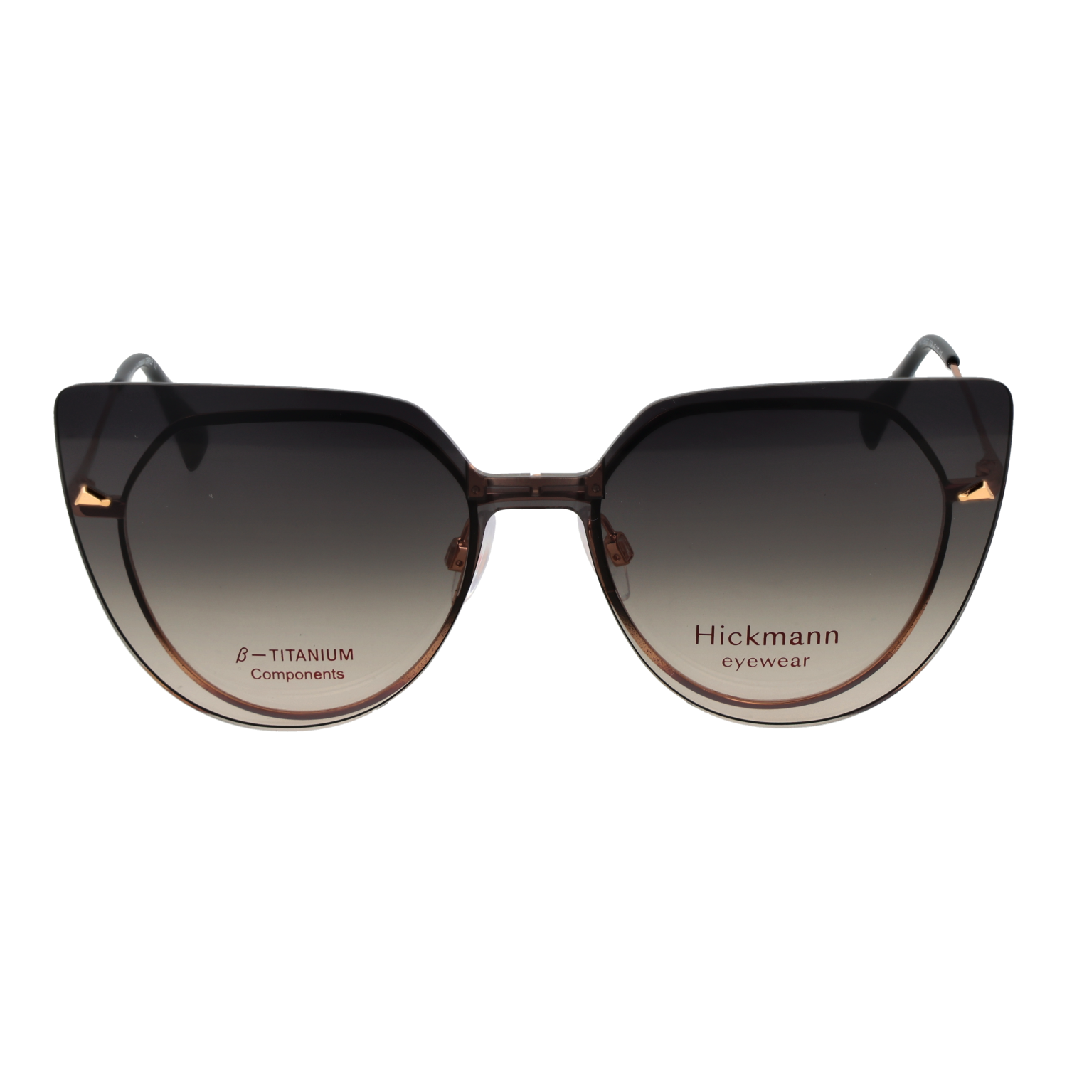 Ana Hickmann HI1262GT 4909A & HI1262GT 4909AG front view – Titanium frame