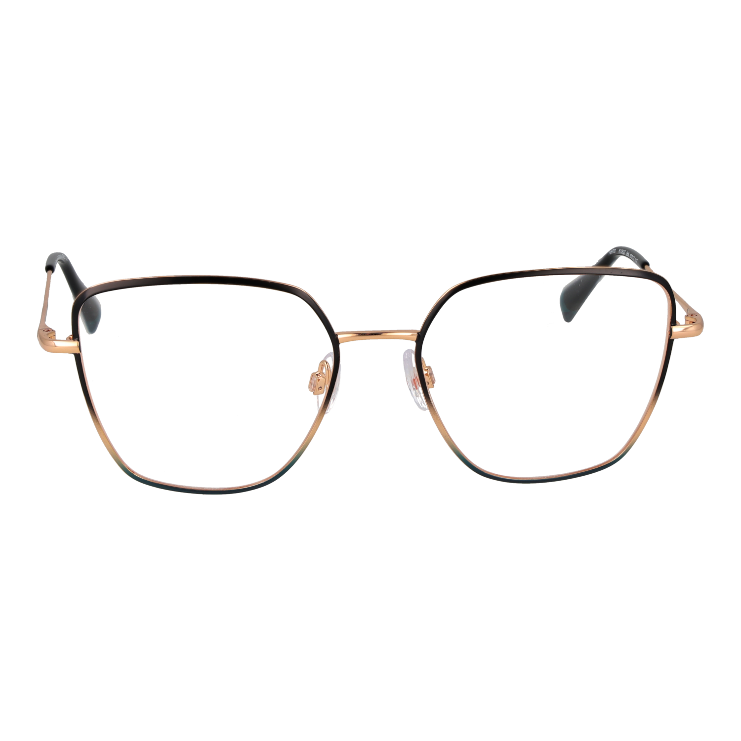Ana Hickmann HI1263T 5305A front view – Titanium frame