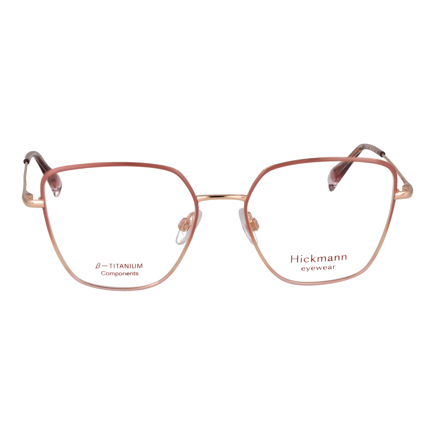 Ana Hickmann HI1263T 5309B front view – Titanium frame