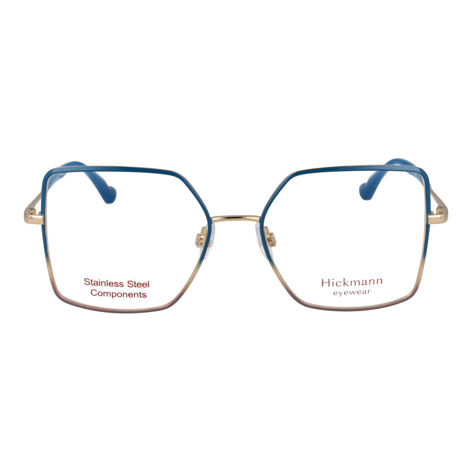Ana Hickmann HI1275 5406A front view – Metal frame