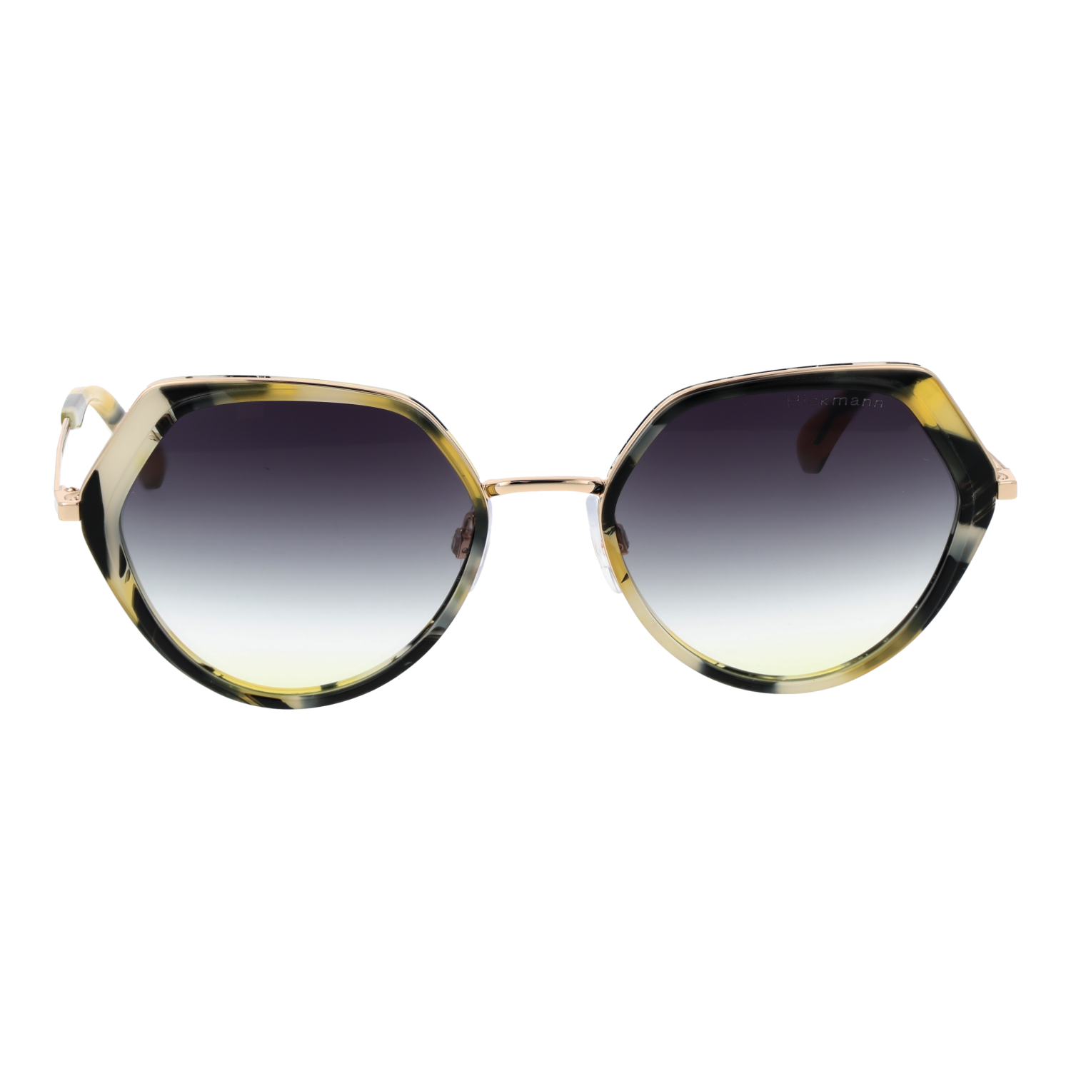 Ana Hickmann HI3199 54G21 front view with Purple lenses