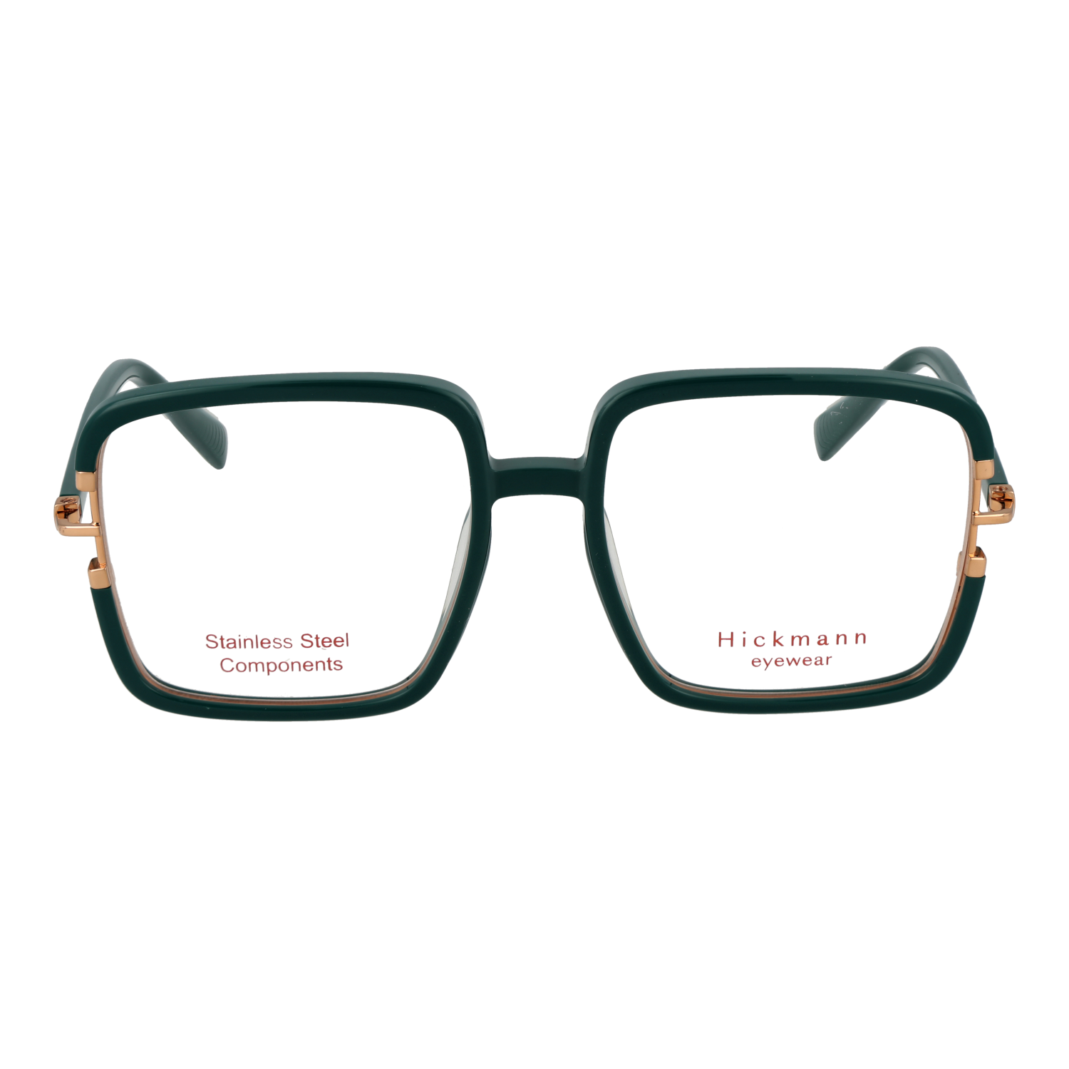 Ana Hickmann HI6268 57D01 front view – Acetate frame