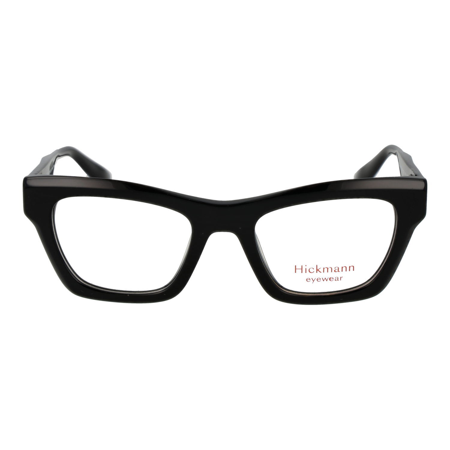 Ana Hickmann HI6293 49A01 front view – Acetate frame