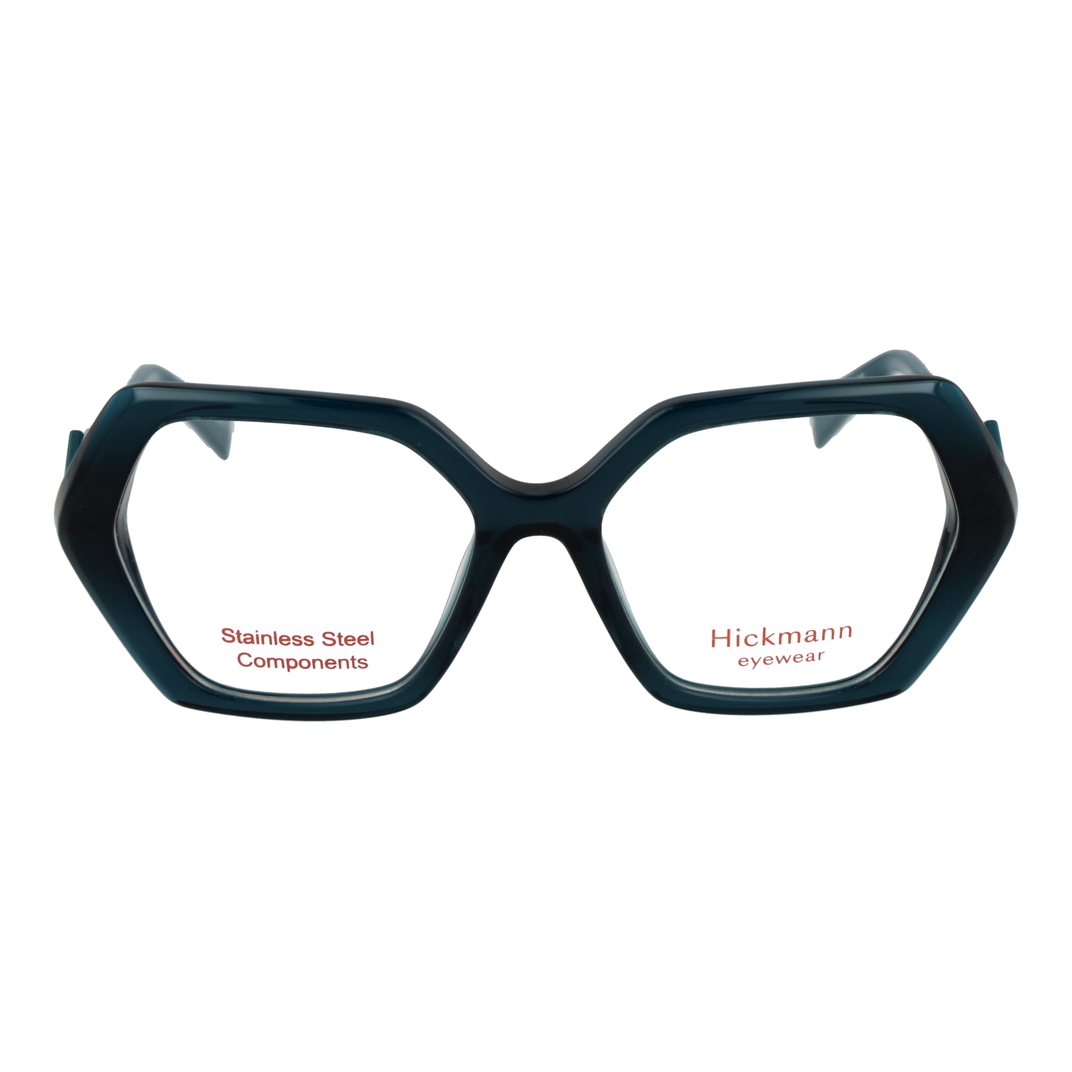 Ana Hickmann HI6301 52T01 front view – Acetate frame