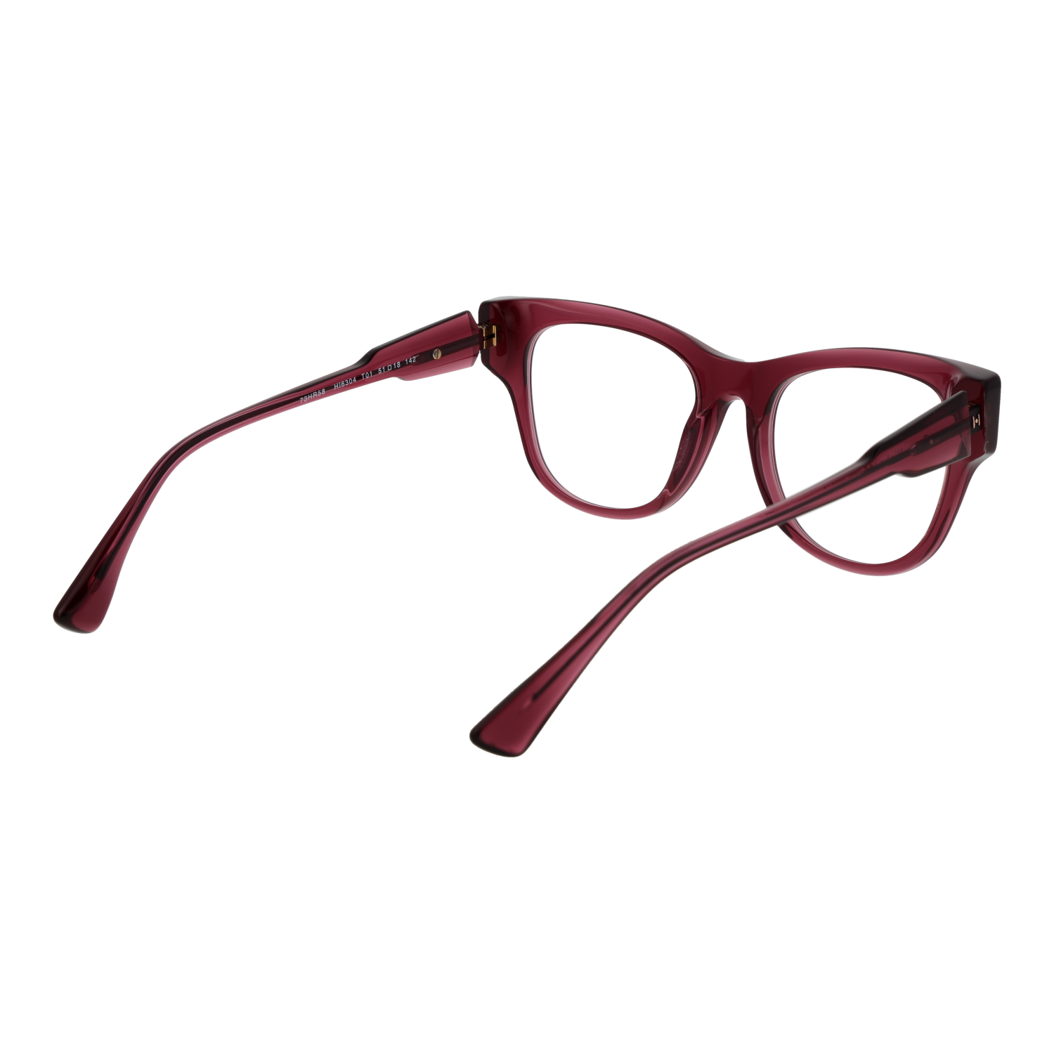 Ana Hickmann HI6304 51T01 rear view showing hinges