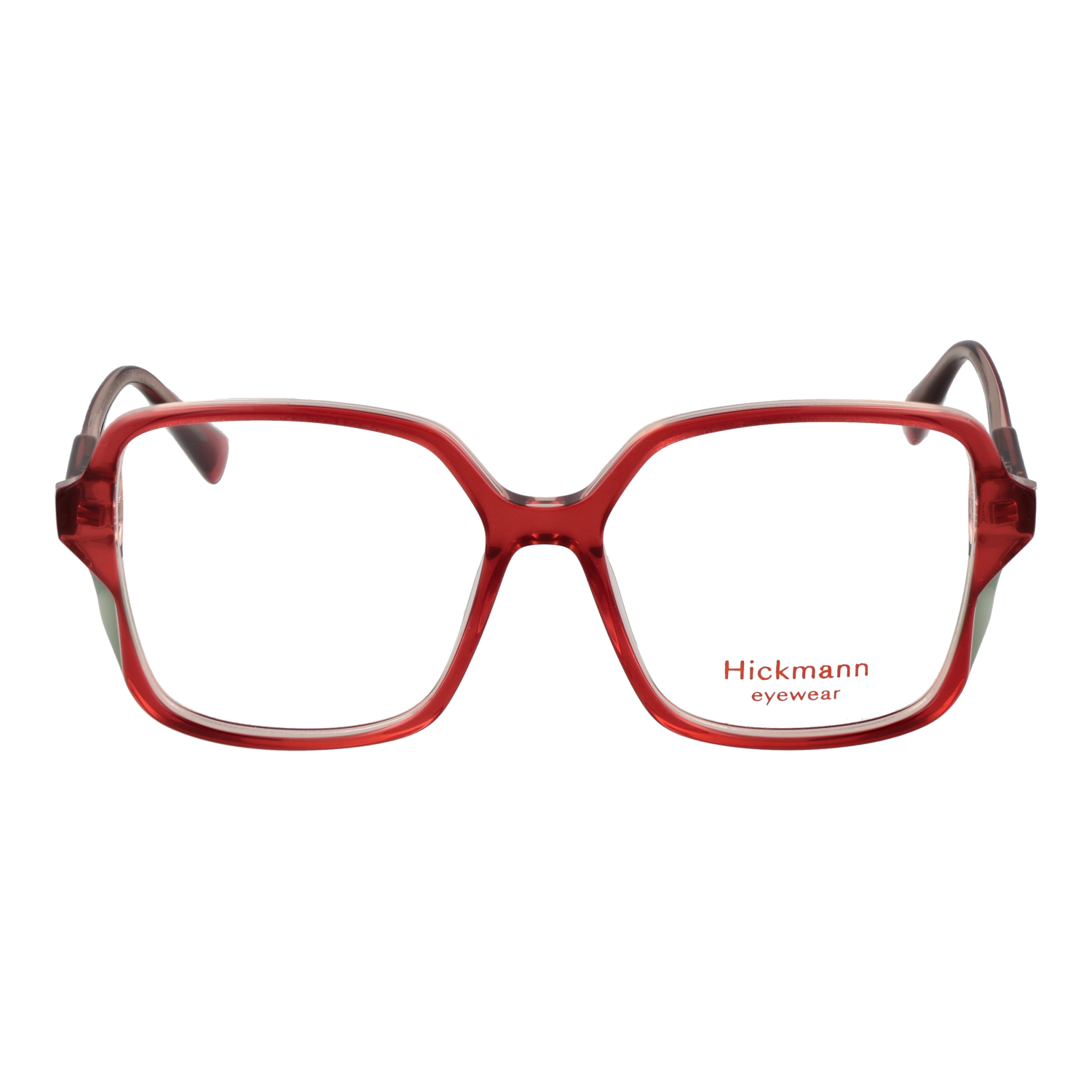 Ana Hickmann HI6306 53H02 front view – Acetate frame