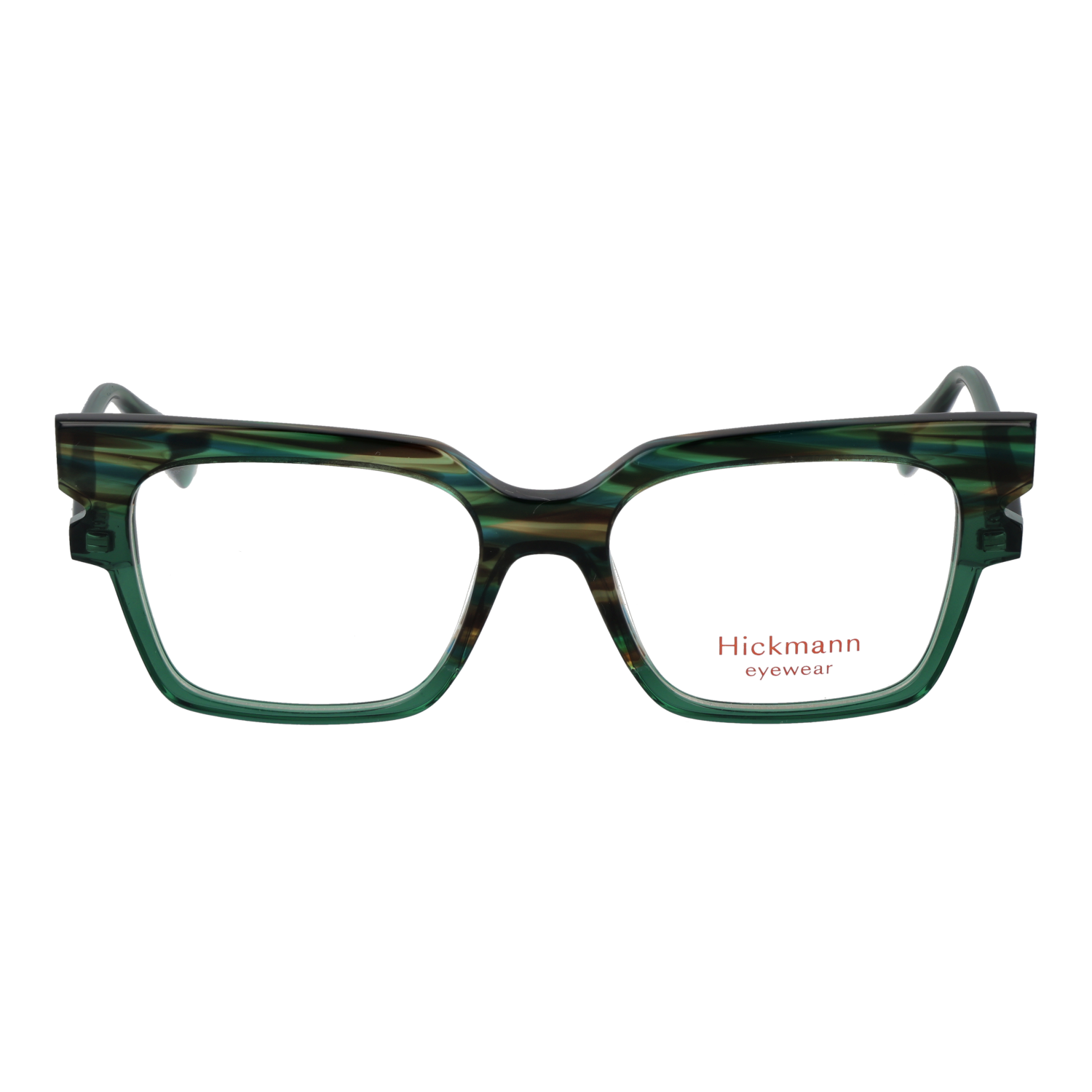 Ana Hickmann HI6311 51P01 front view – Acetate frame