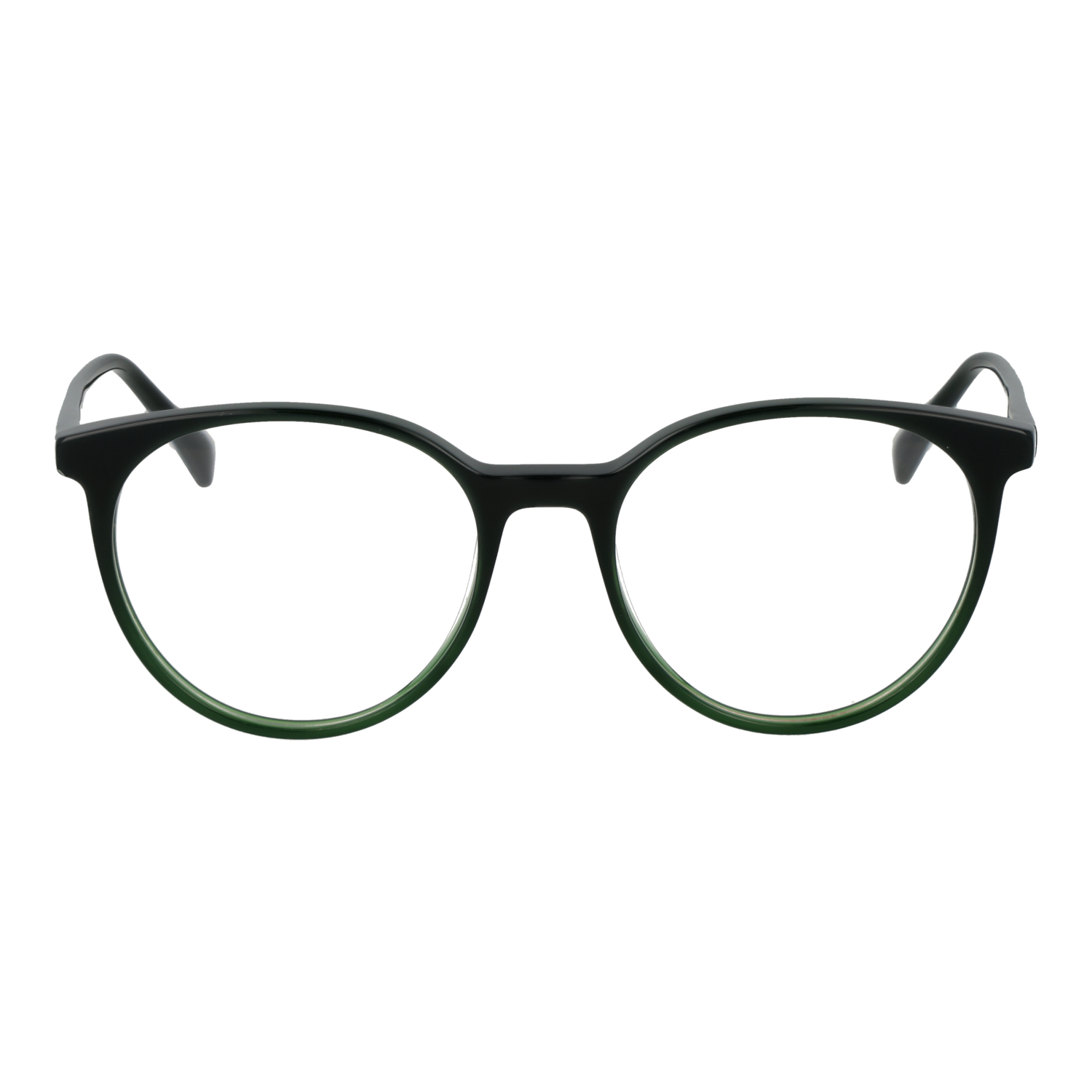 Ana Hickmann HI6313 50C01 front view – Acetate frame