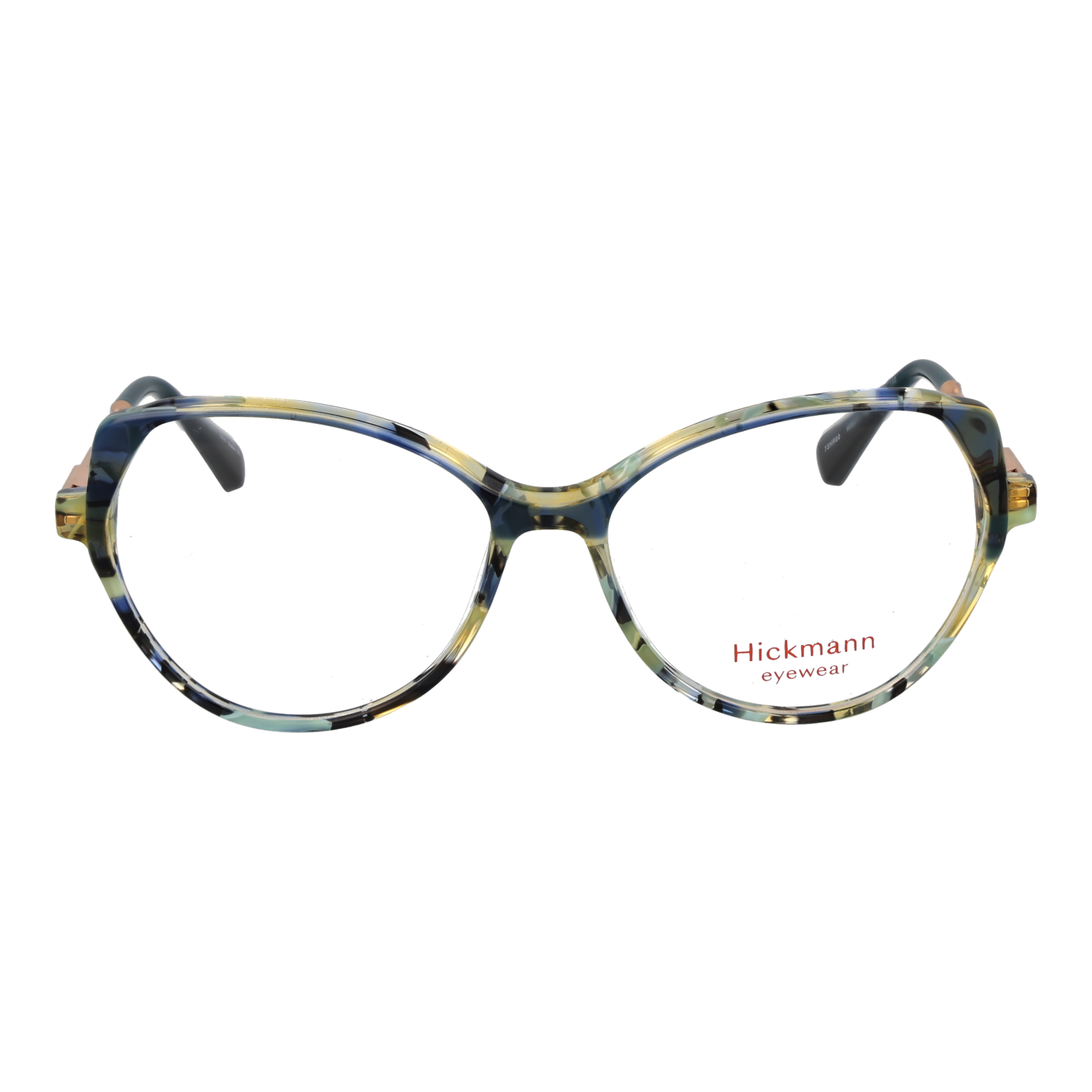 Ana Hickmann HI6317 55G22 front view – Acetate frame