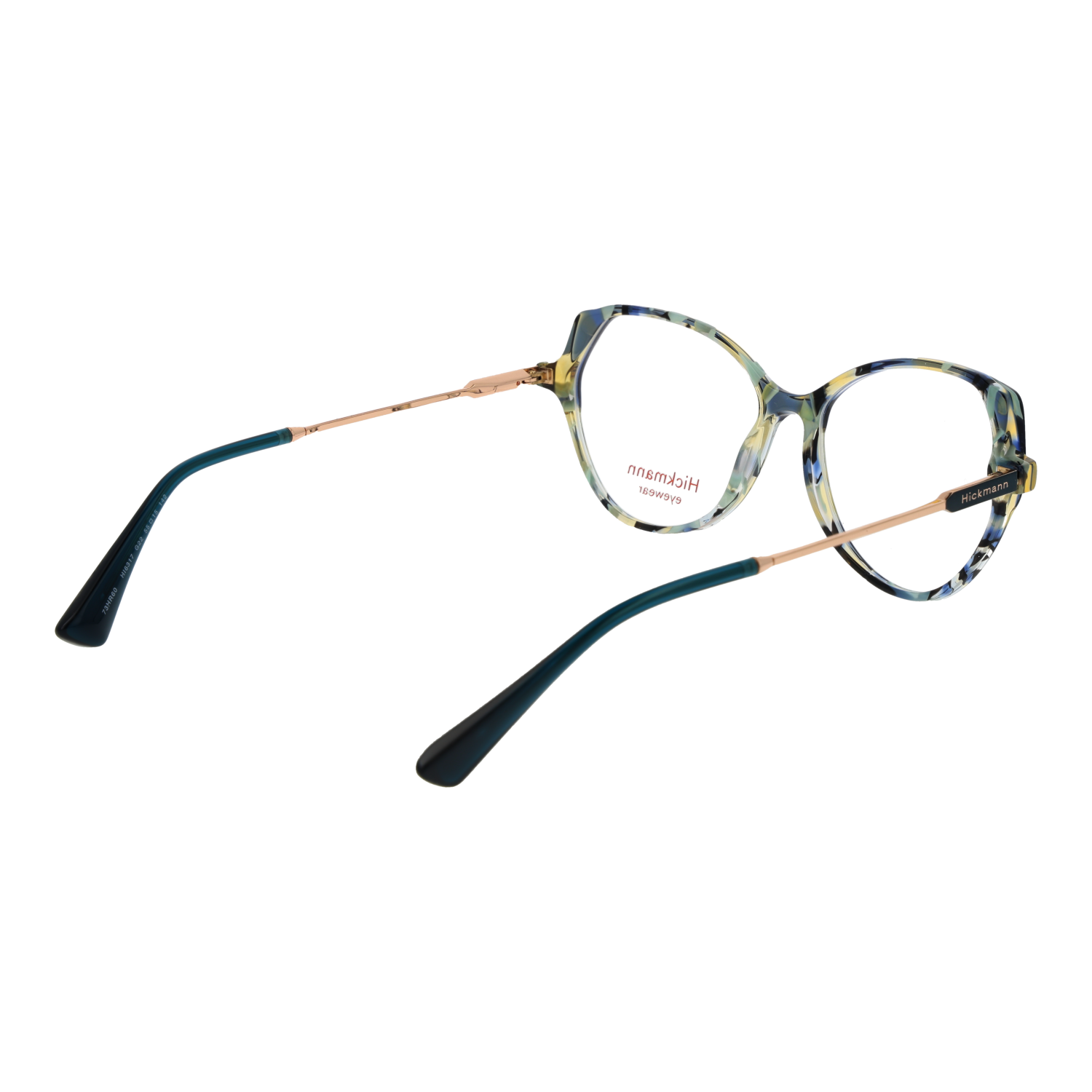 Ana Hickmann HI6317 55G22 rear view showing hinges