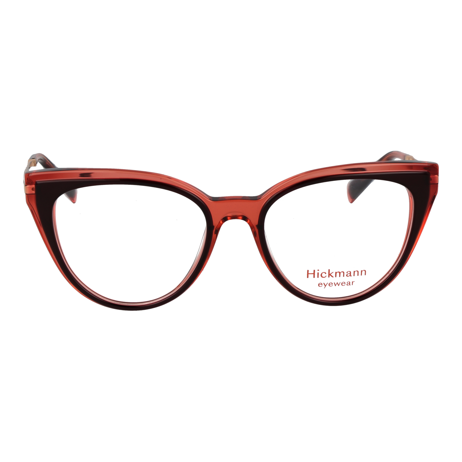 Ana Hickmann HI6320 52G21 front view – Acetate frame