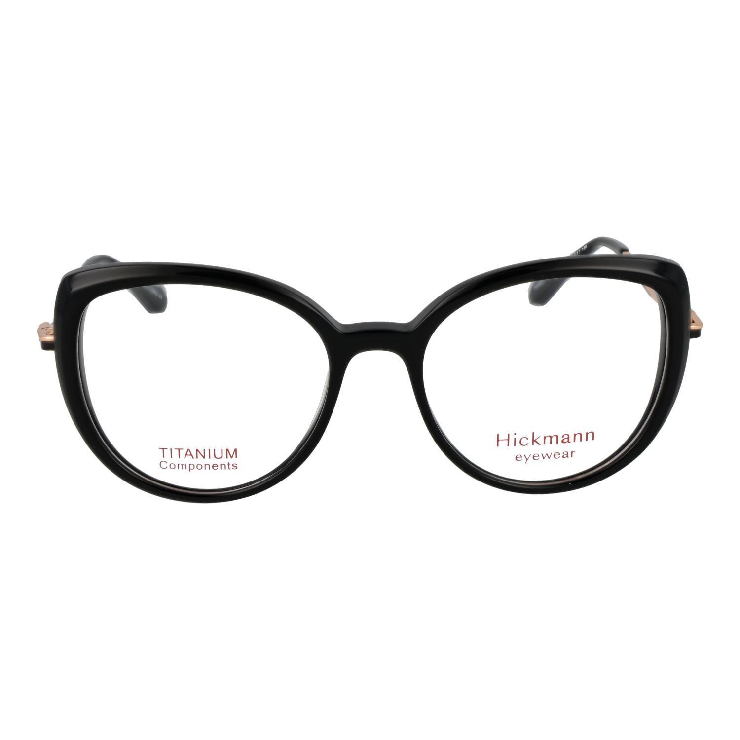 Ana Hickmann HI6334T 51A01 front view – Titanium frame
