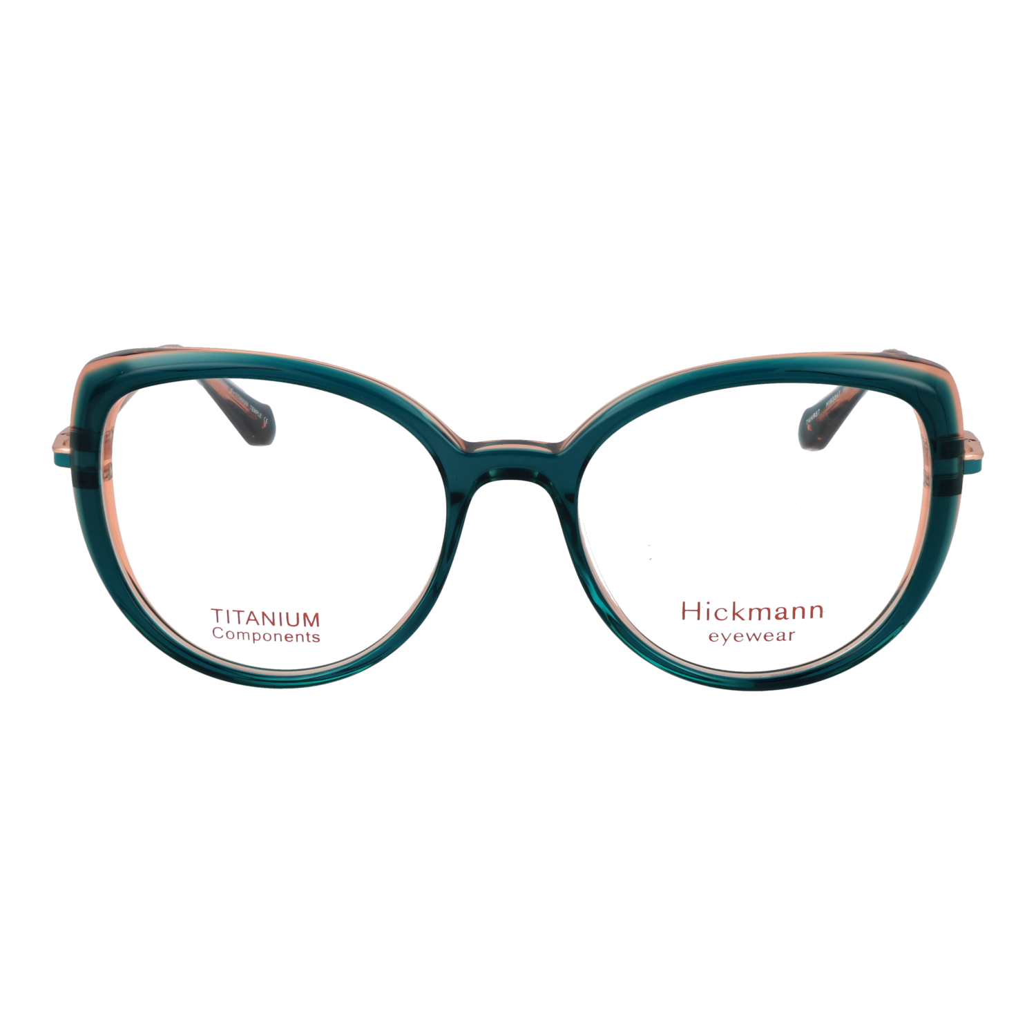 Ana Hickmann HI6334T 51H01 front view – Titanium frame