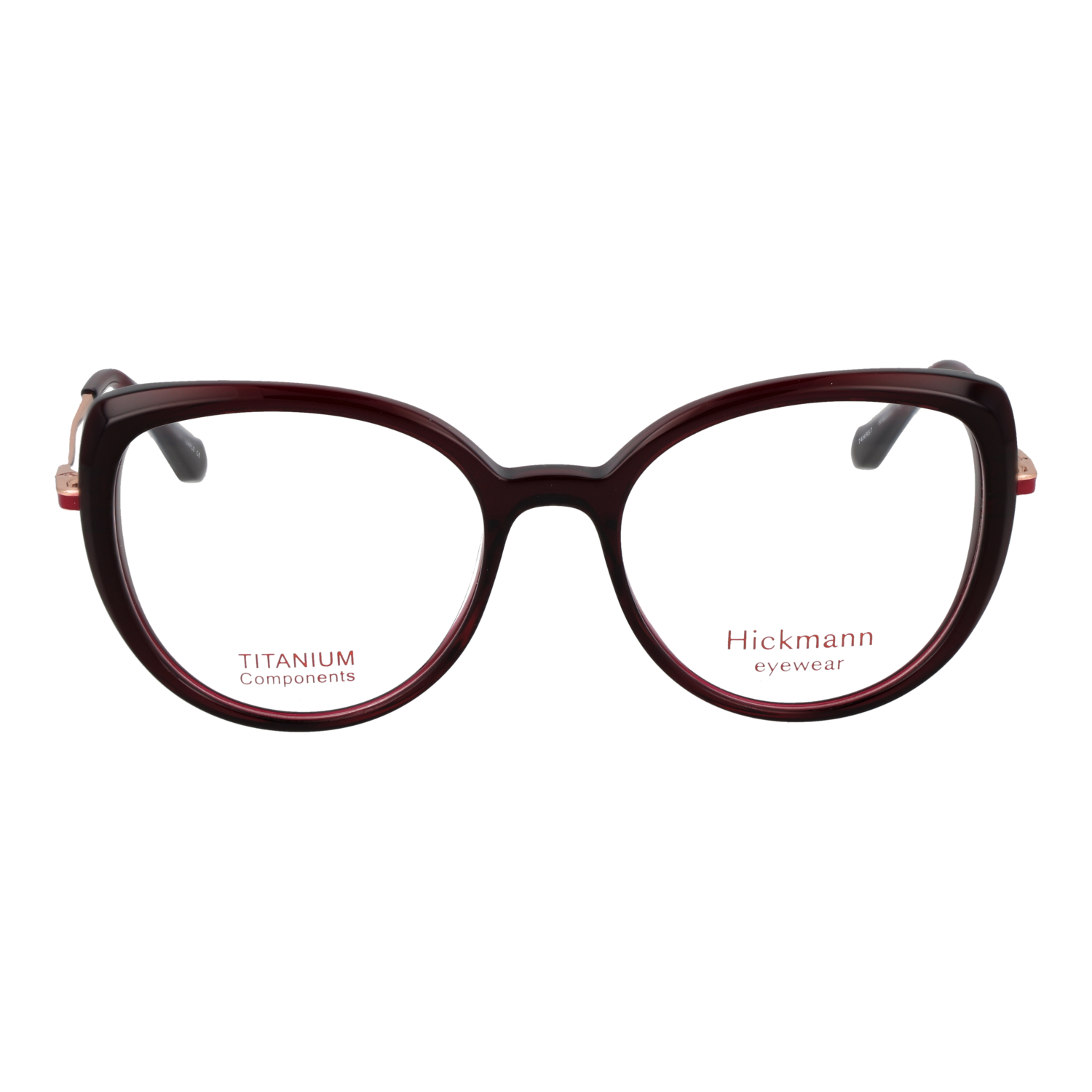 Ana Hickmann HI6334T 51T01 front view – Titanium frame