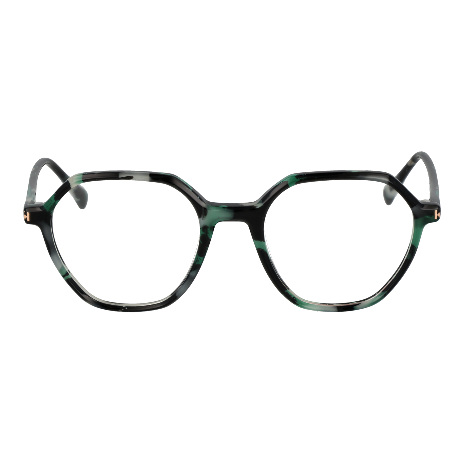 Ana Hickmann HI6335 49G21 front view – Acetate frame