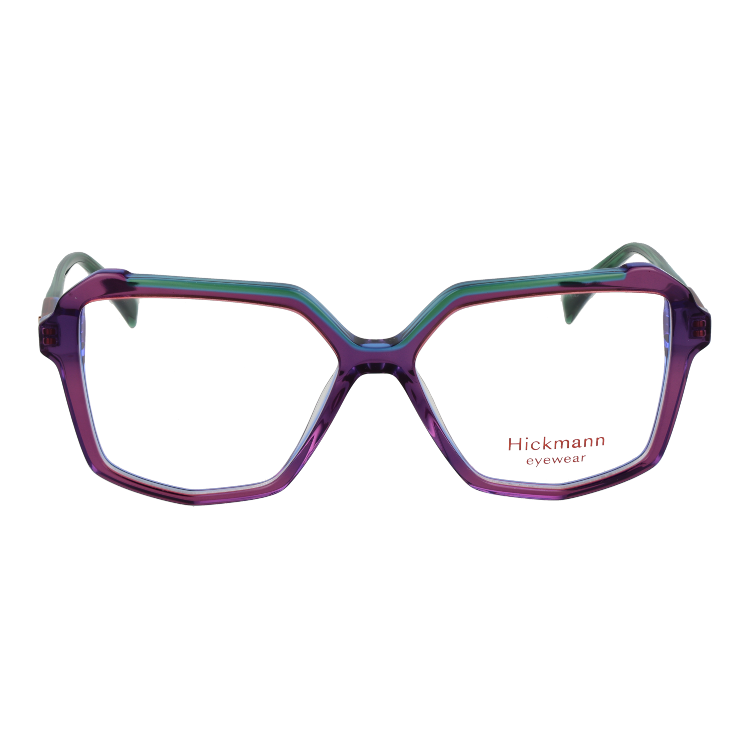 Ana Hickmann HI6339 54P03 front view – Acetate frame