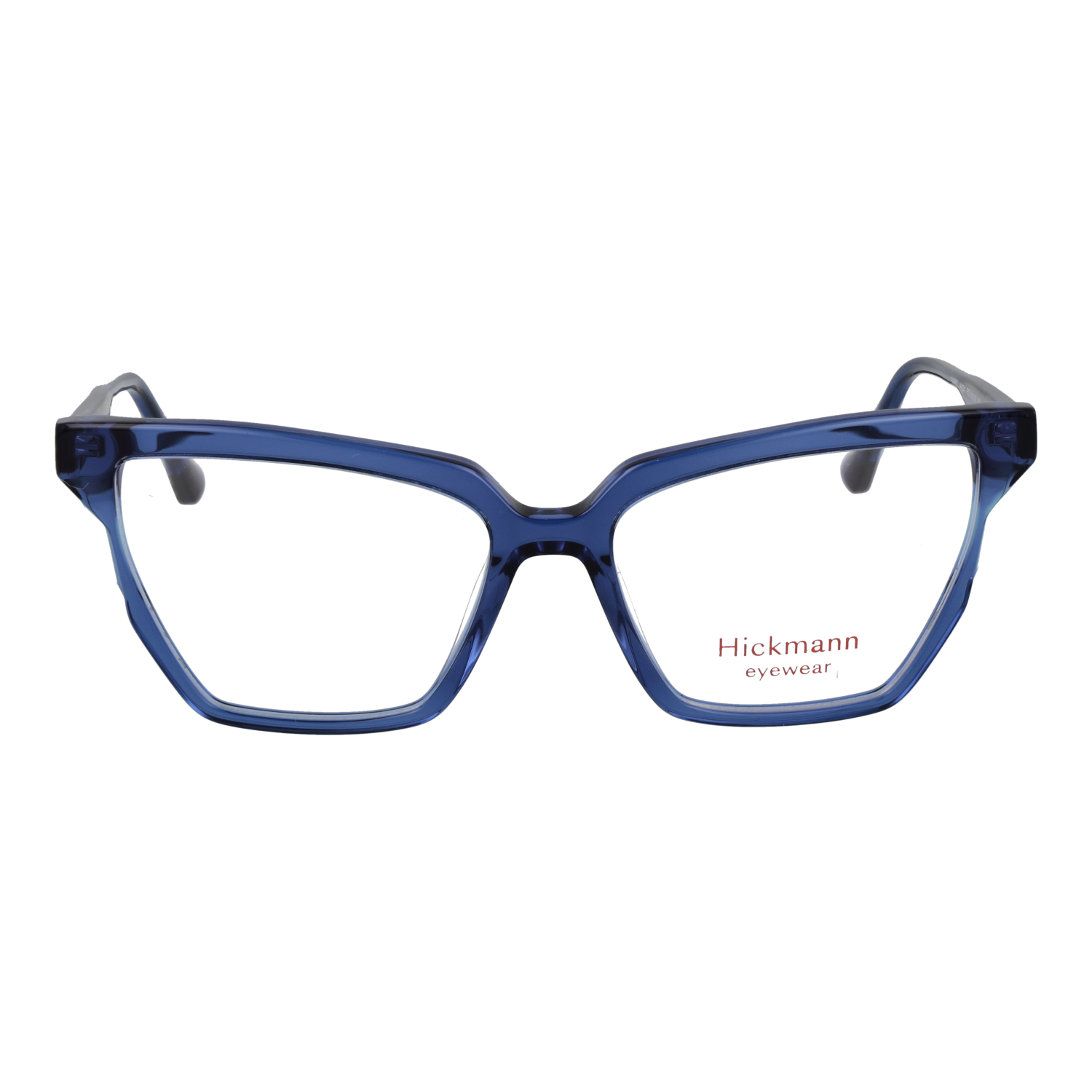 Ana Hickmann HI6341 54P03 front view – Acetate frame