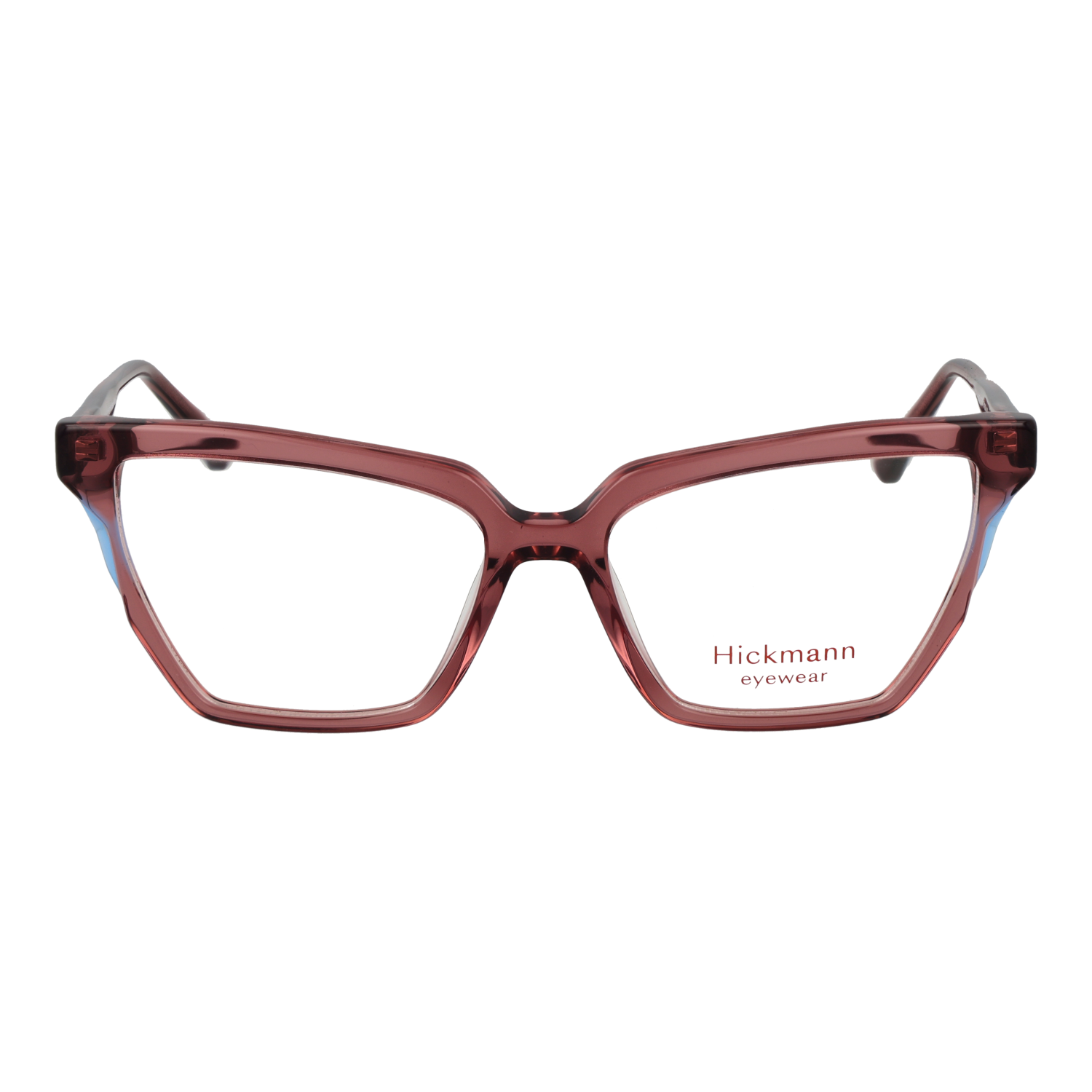 Ana Hickmann HI6341 54P04 front view – Acetate frame