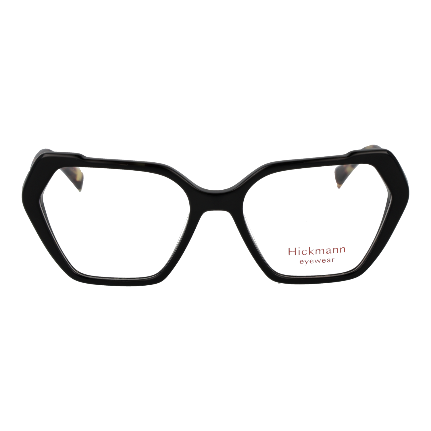 Ana Hickmann HI6343 54P01 front view – Acetate frame