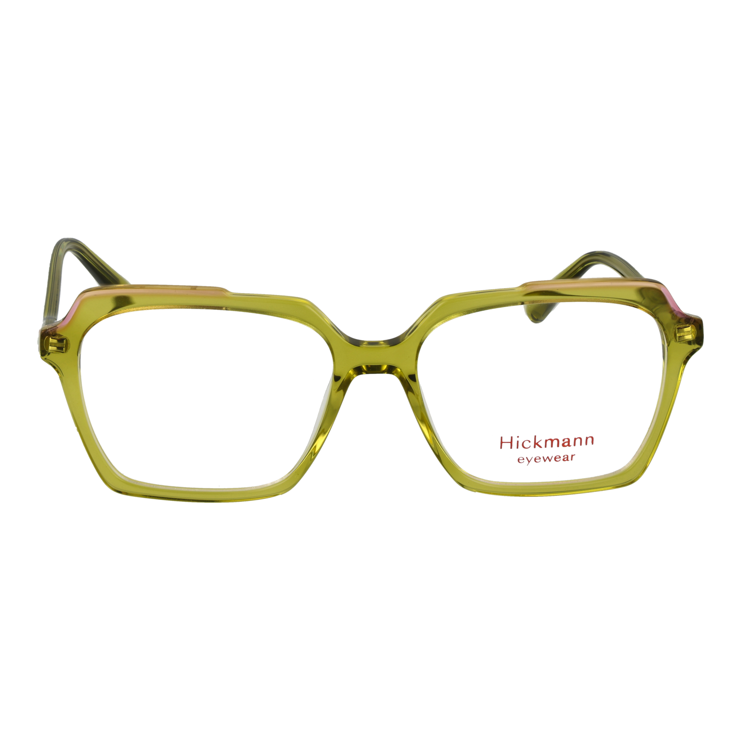 Ana Hickmann HI6347 54P04 front view – Acetate frame