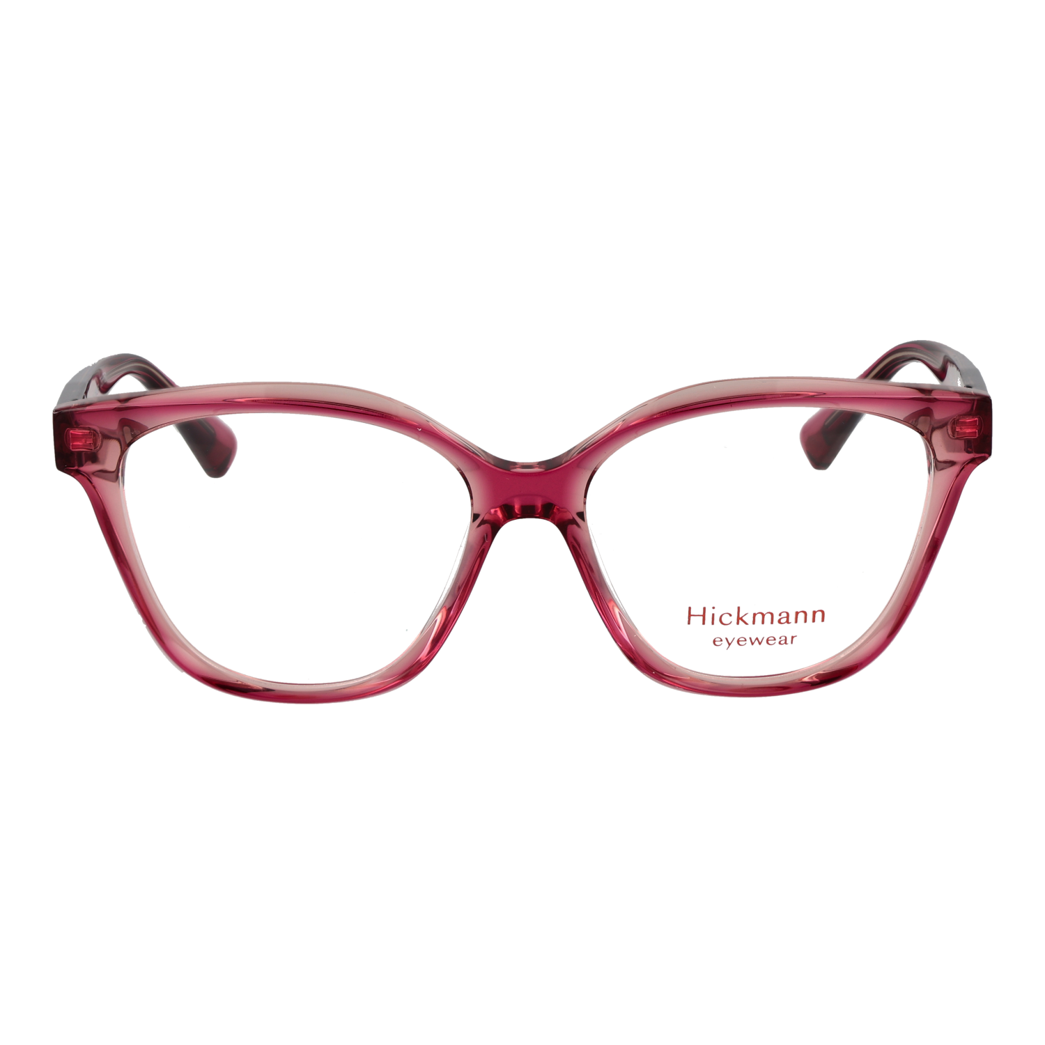 Ana Hickmann HI6354 52H03 front view – Acetate frame