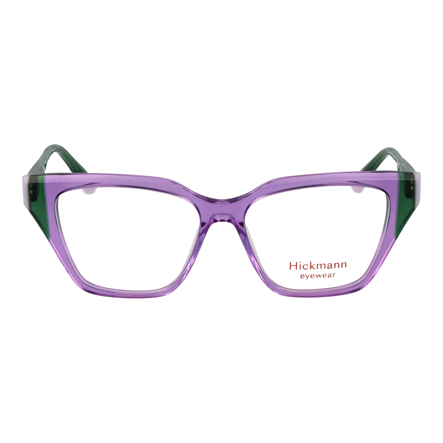 Ana Hickmann HI6364 52P05 front view – Acetate frame