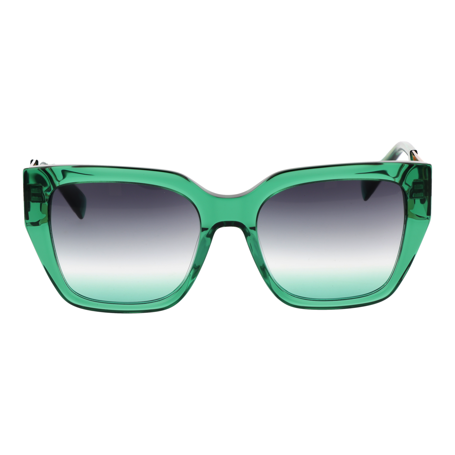 Ana Hickmann HI9210 54T01 front view with Purple lenses